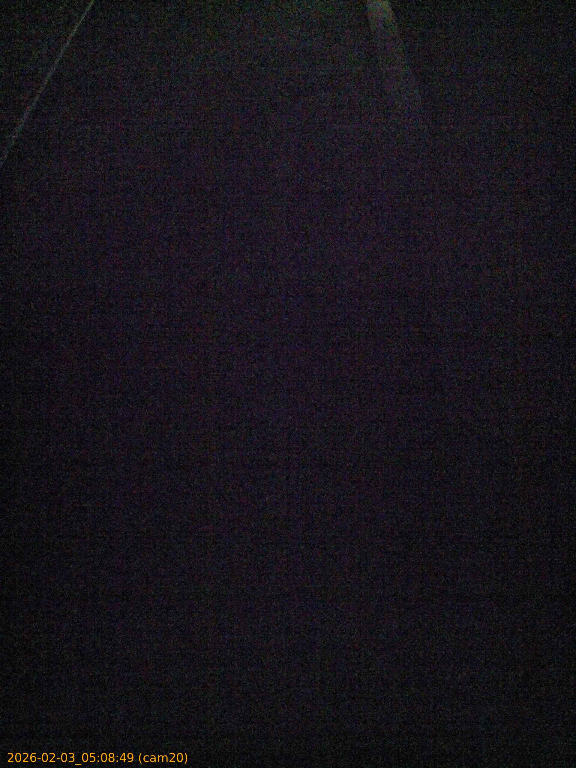 thumbnail_20260203050849