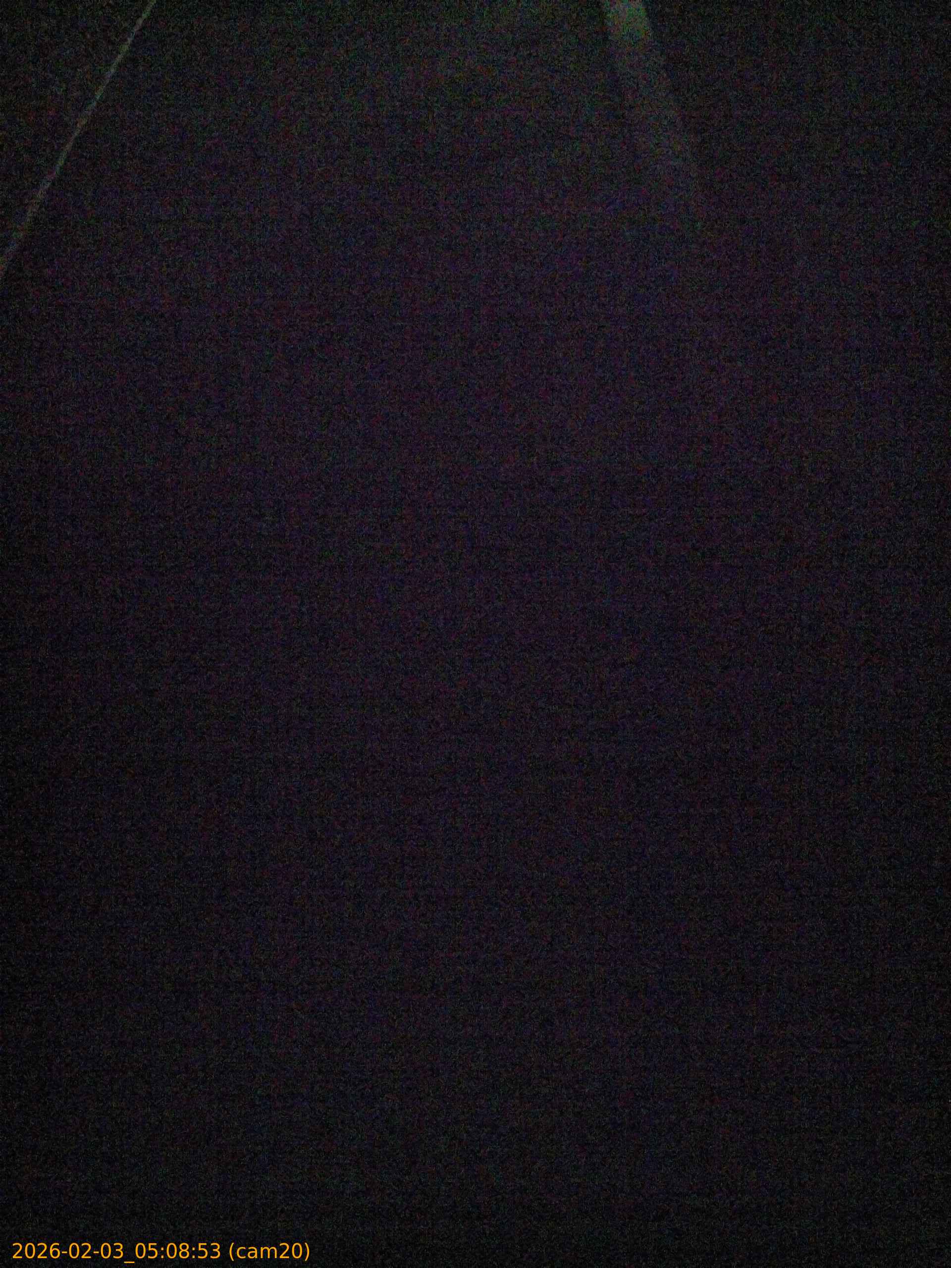 thumbnail_20260203050853