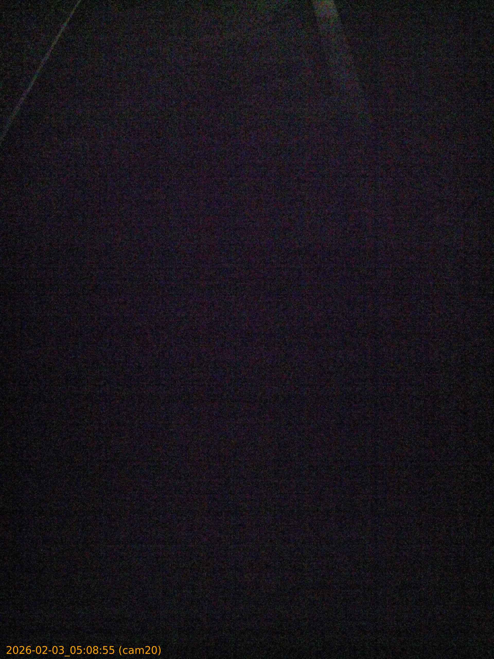 thumbnail_20260203050855