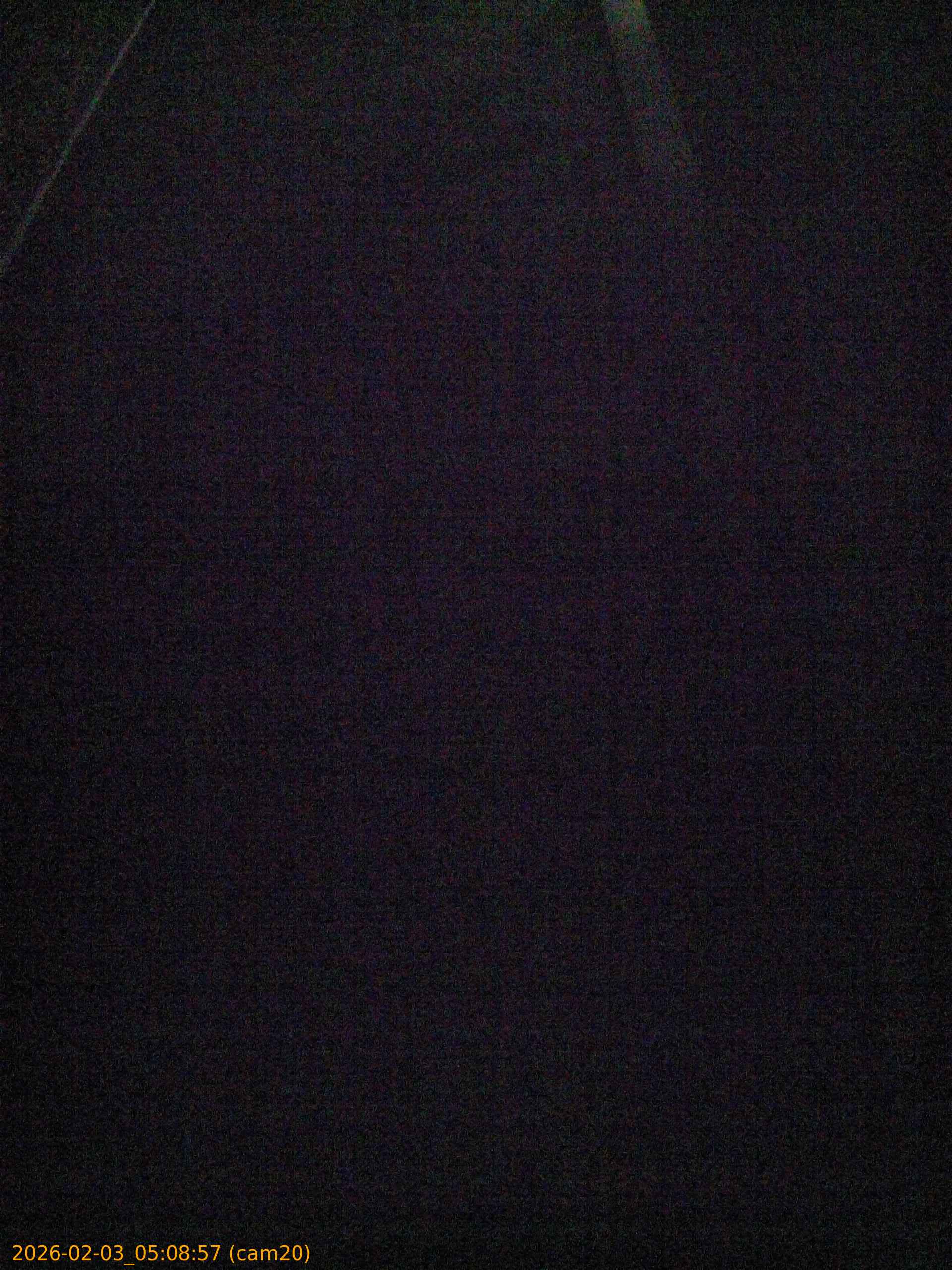 thumbnail_20260203050857