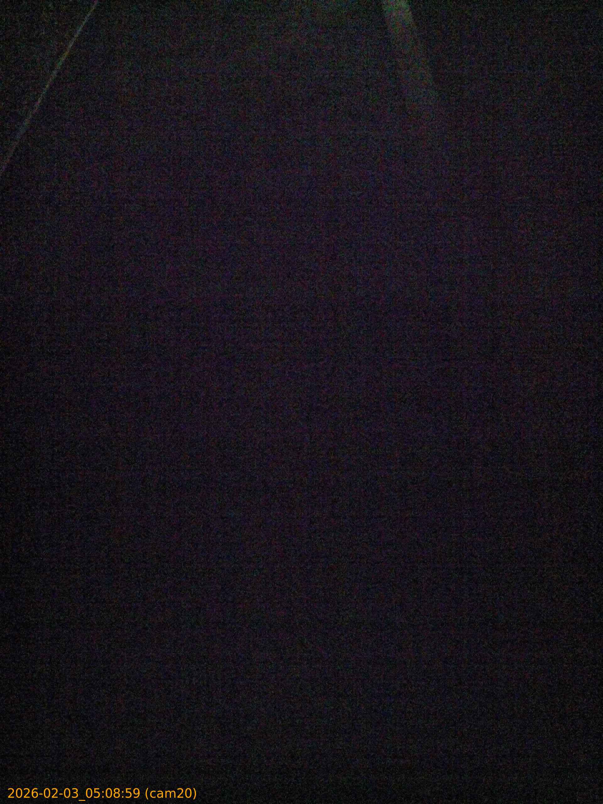 thumbnail_20260203050859