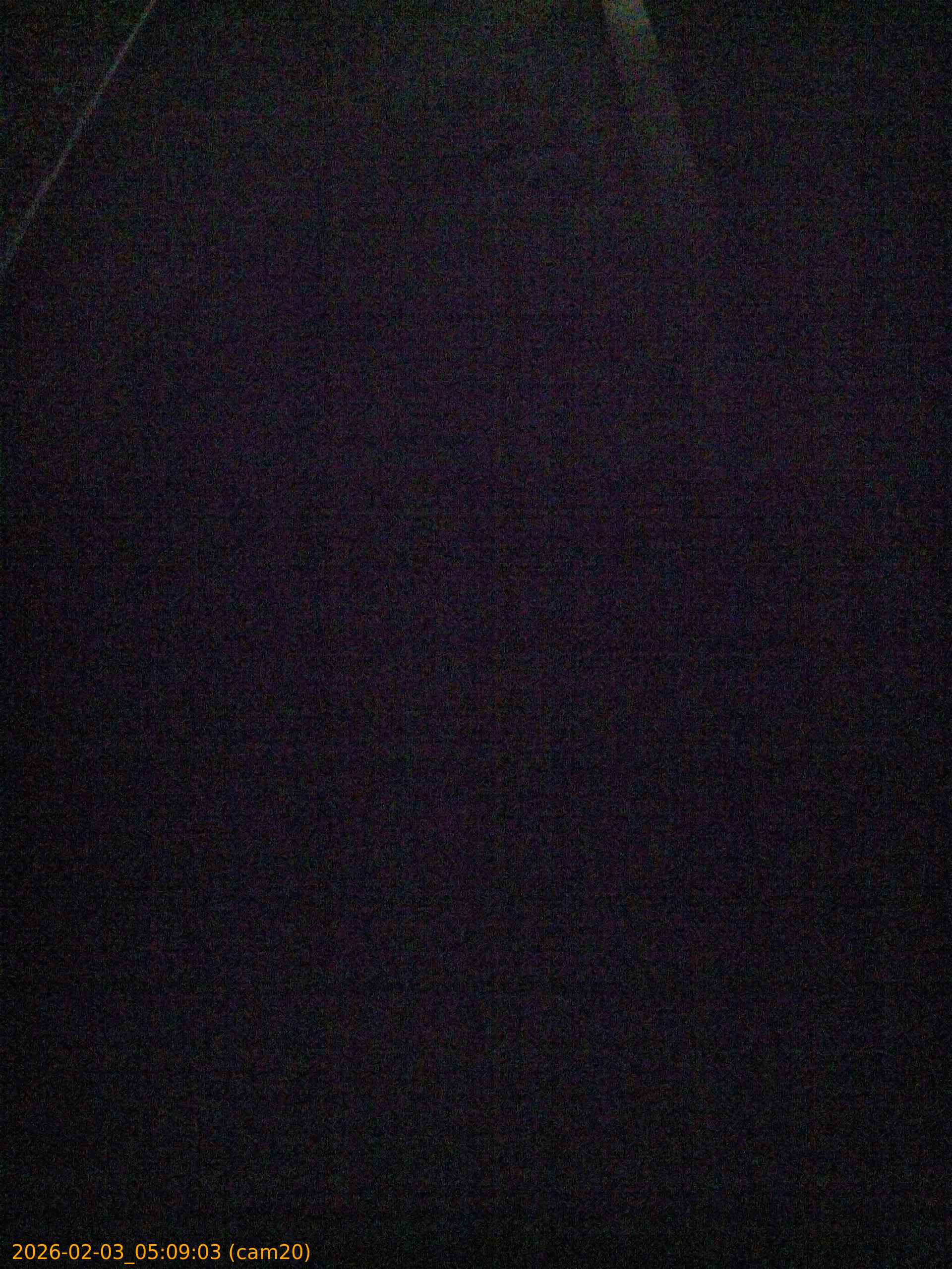 thumbnail_20260203050903