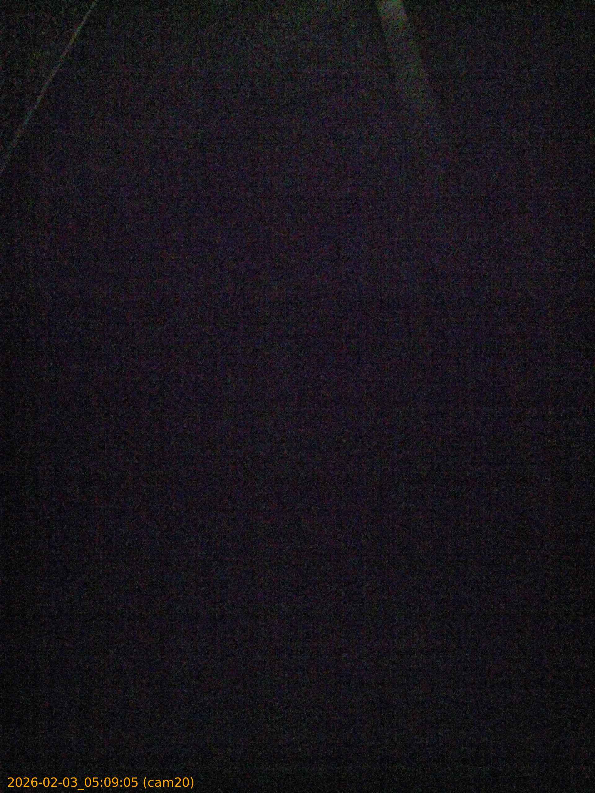 thumbnail_20260203050905