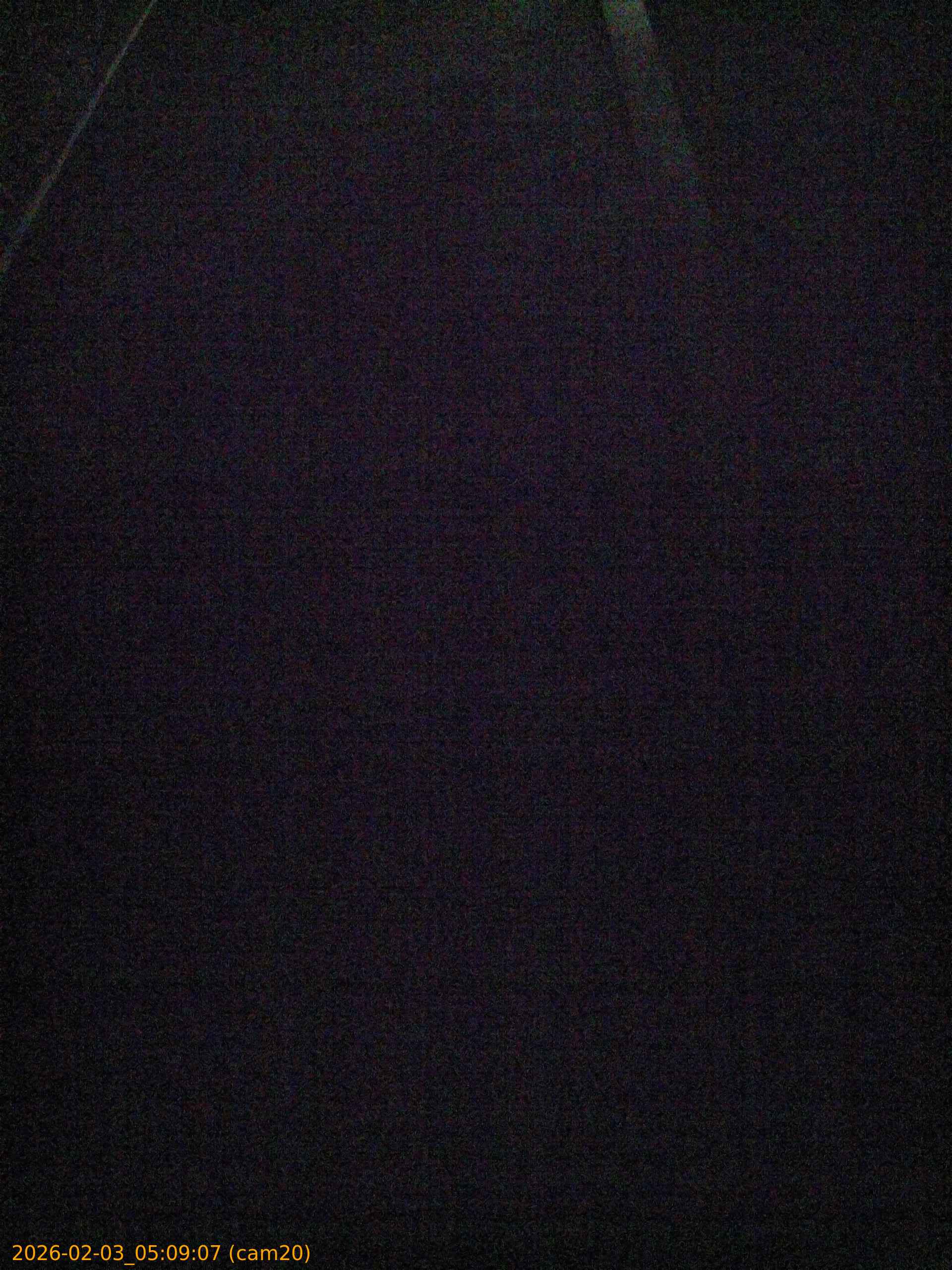 thumbnail_20260203050907