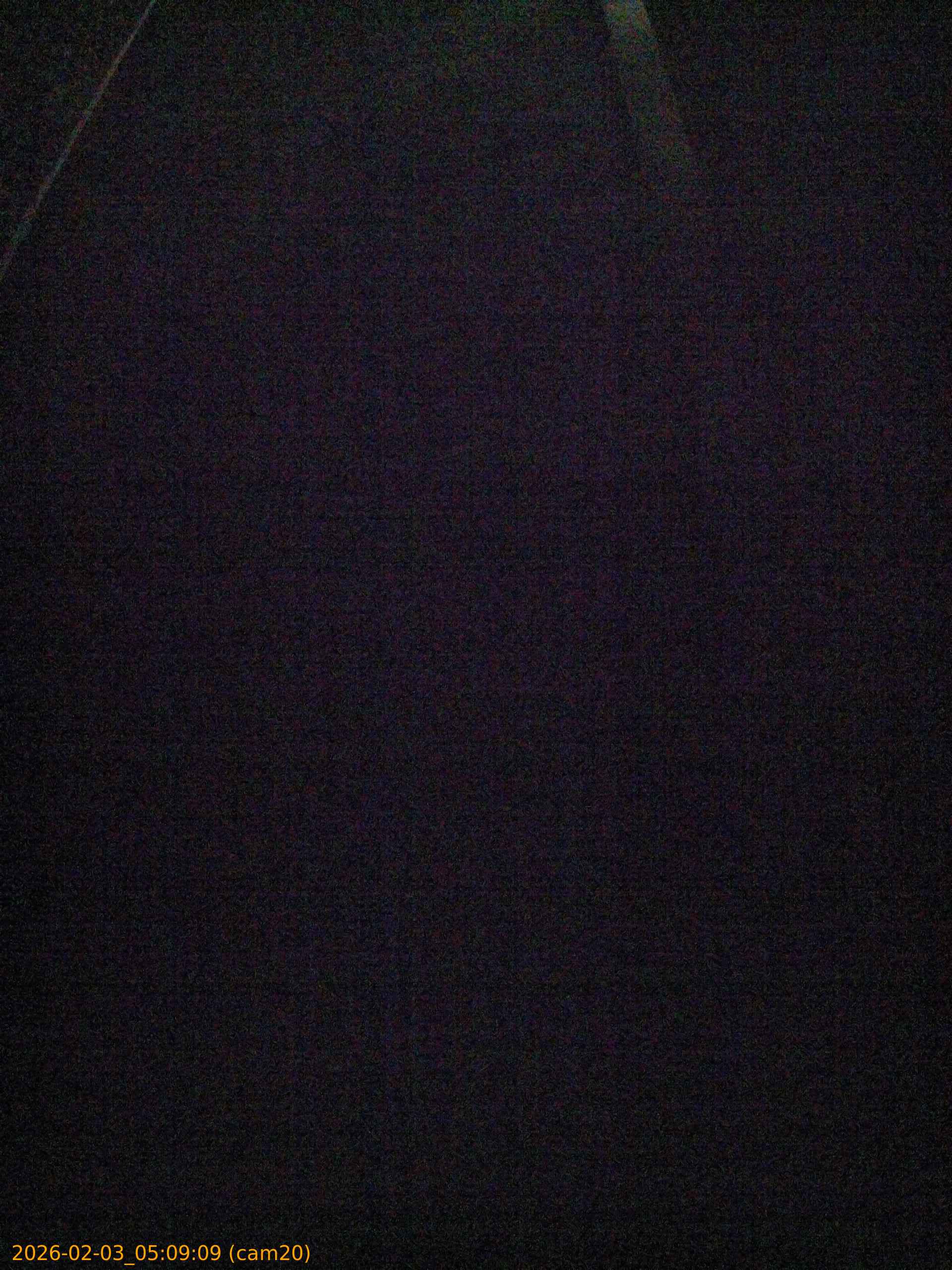 thumbnail_20260203050909