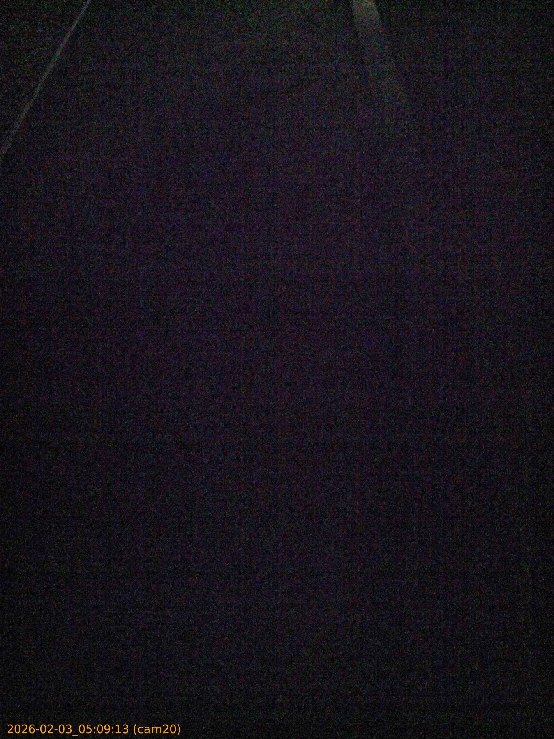 thumbnail_20260203050913