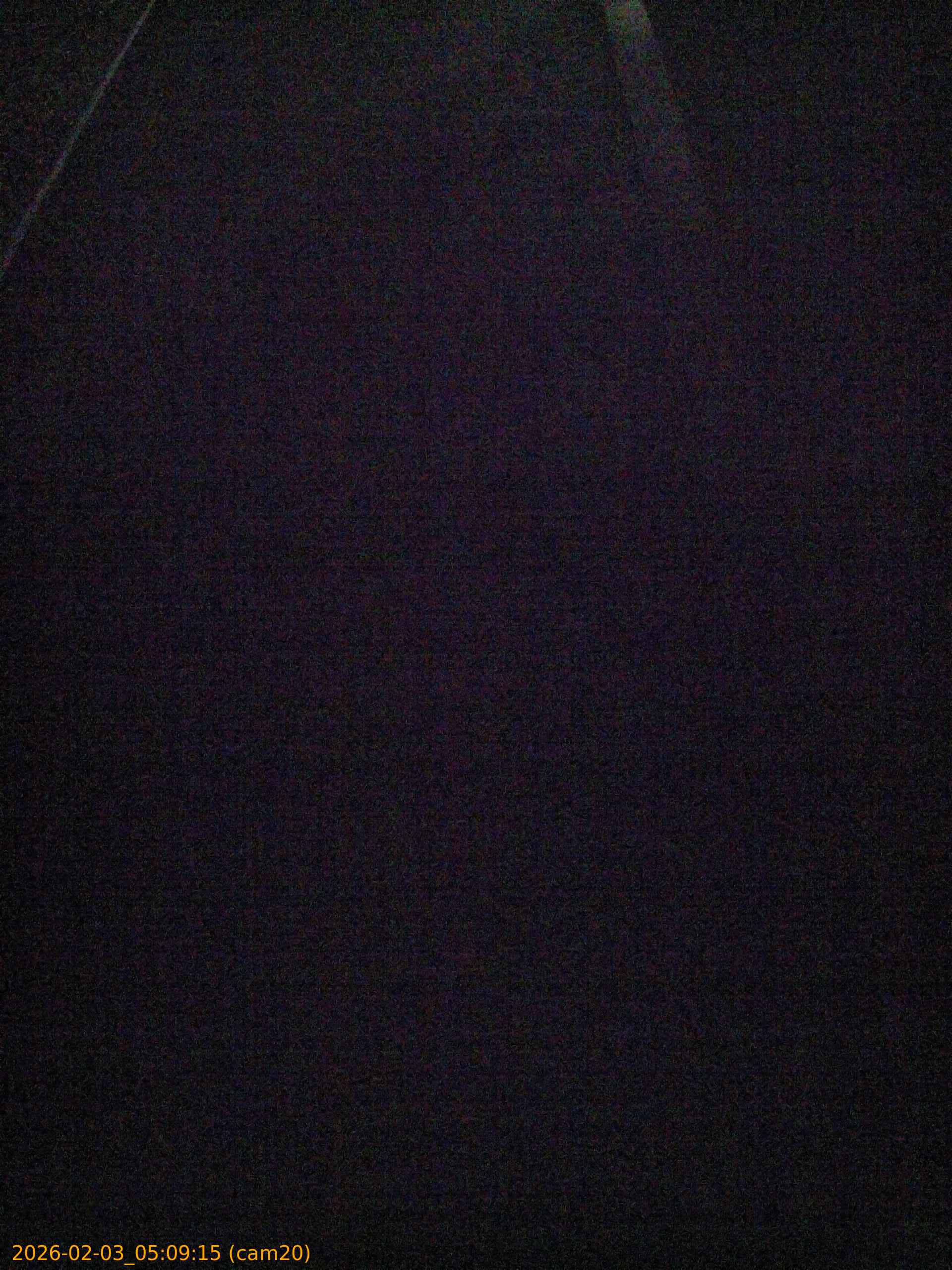 thumbnail_20260203050915