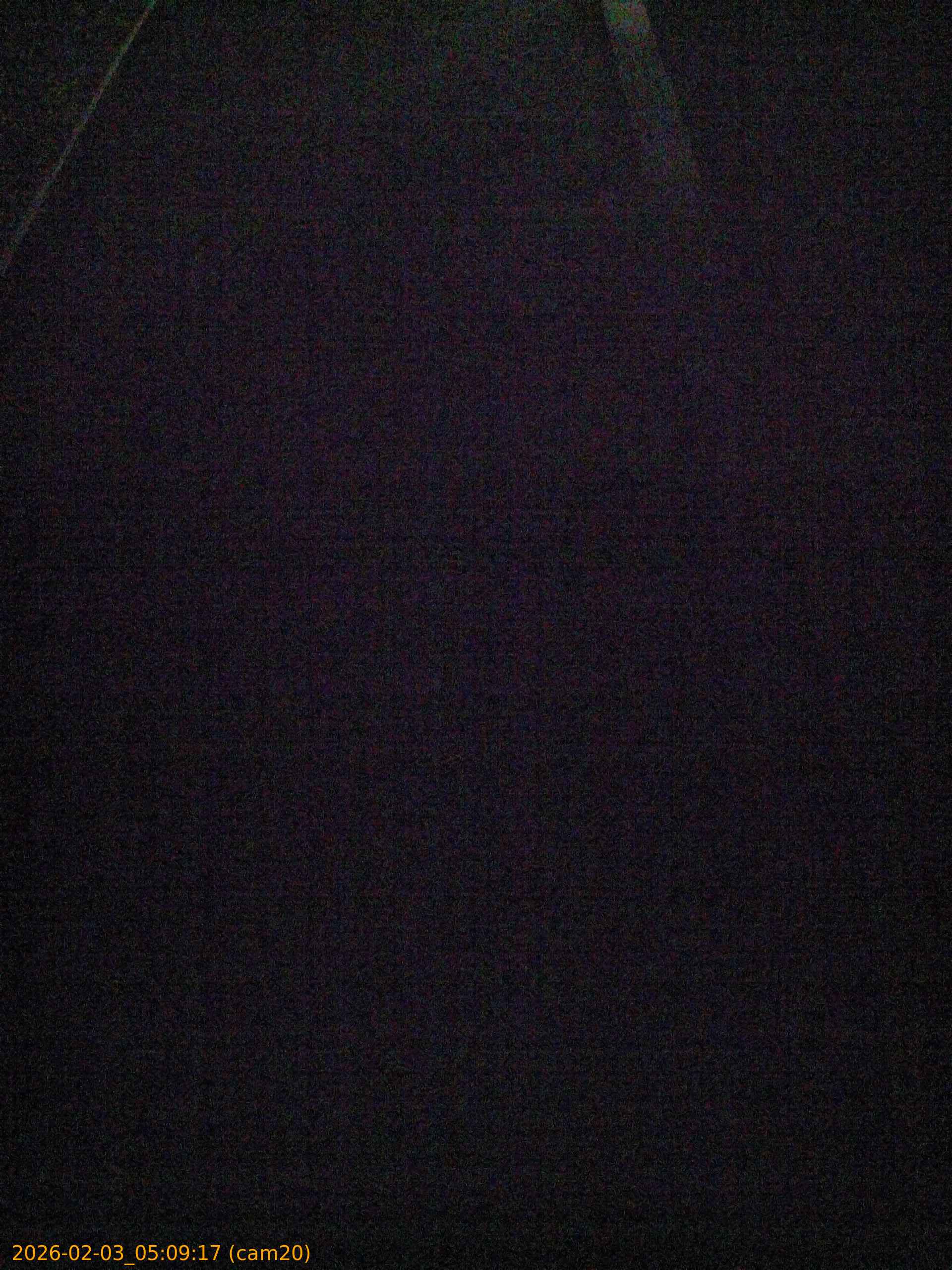 thumbnail_20260203050917