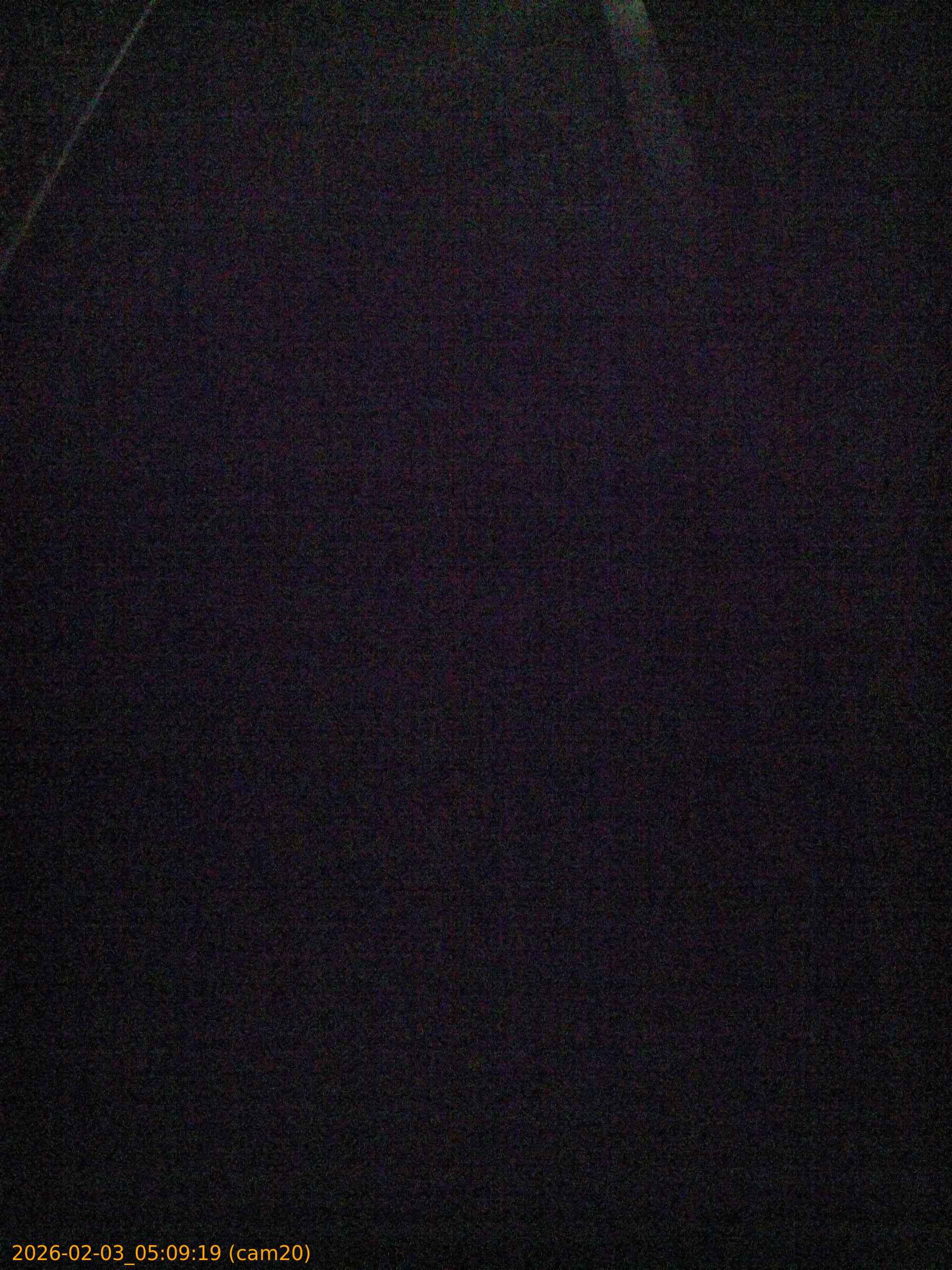 thumbnail_20260203050919