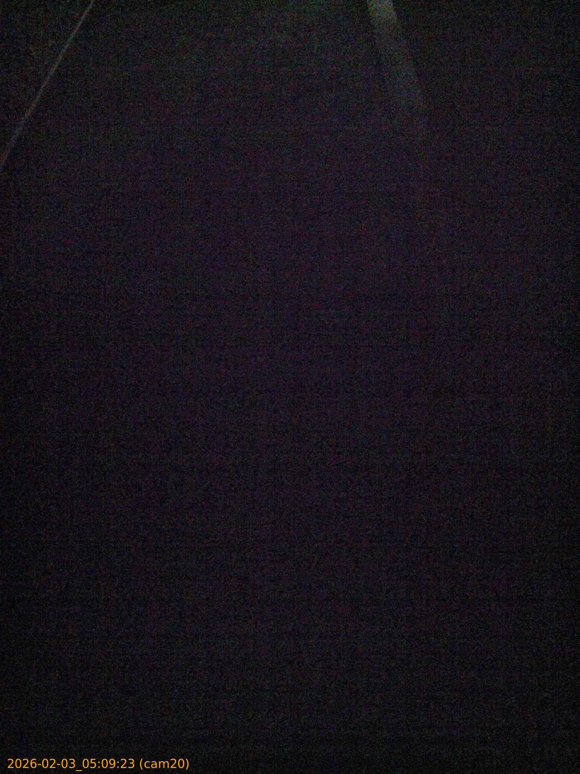 thumbnail_20260203050923