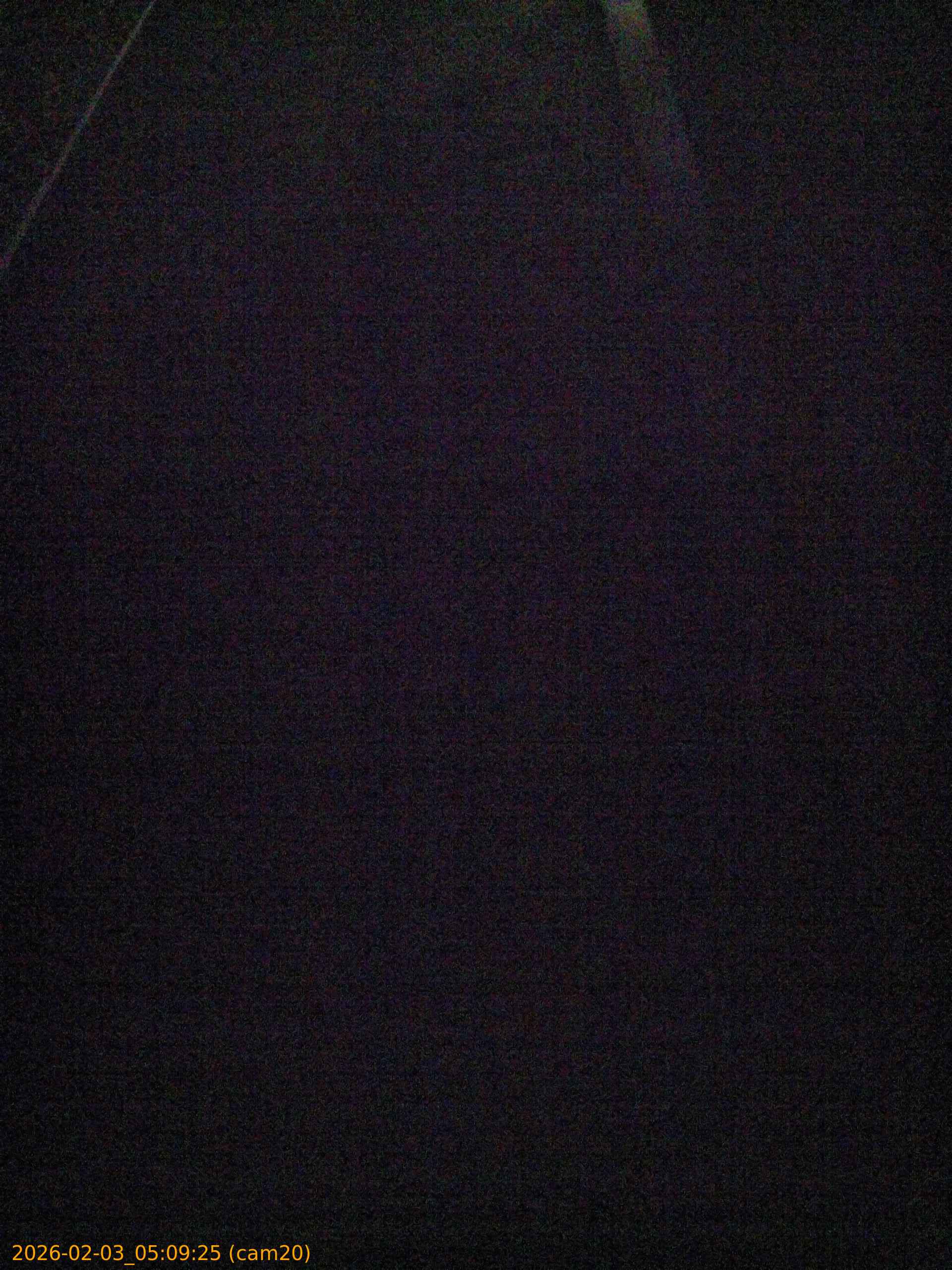 thumbnail_20260203050925