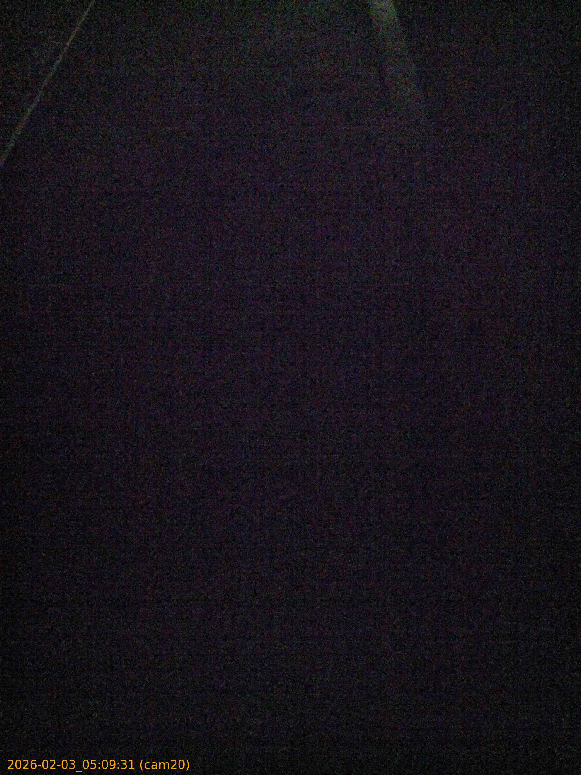 thumbnail_20260203050931