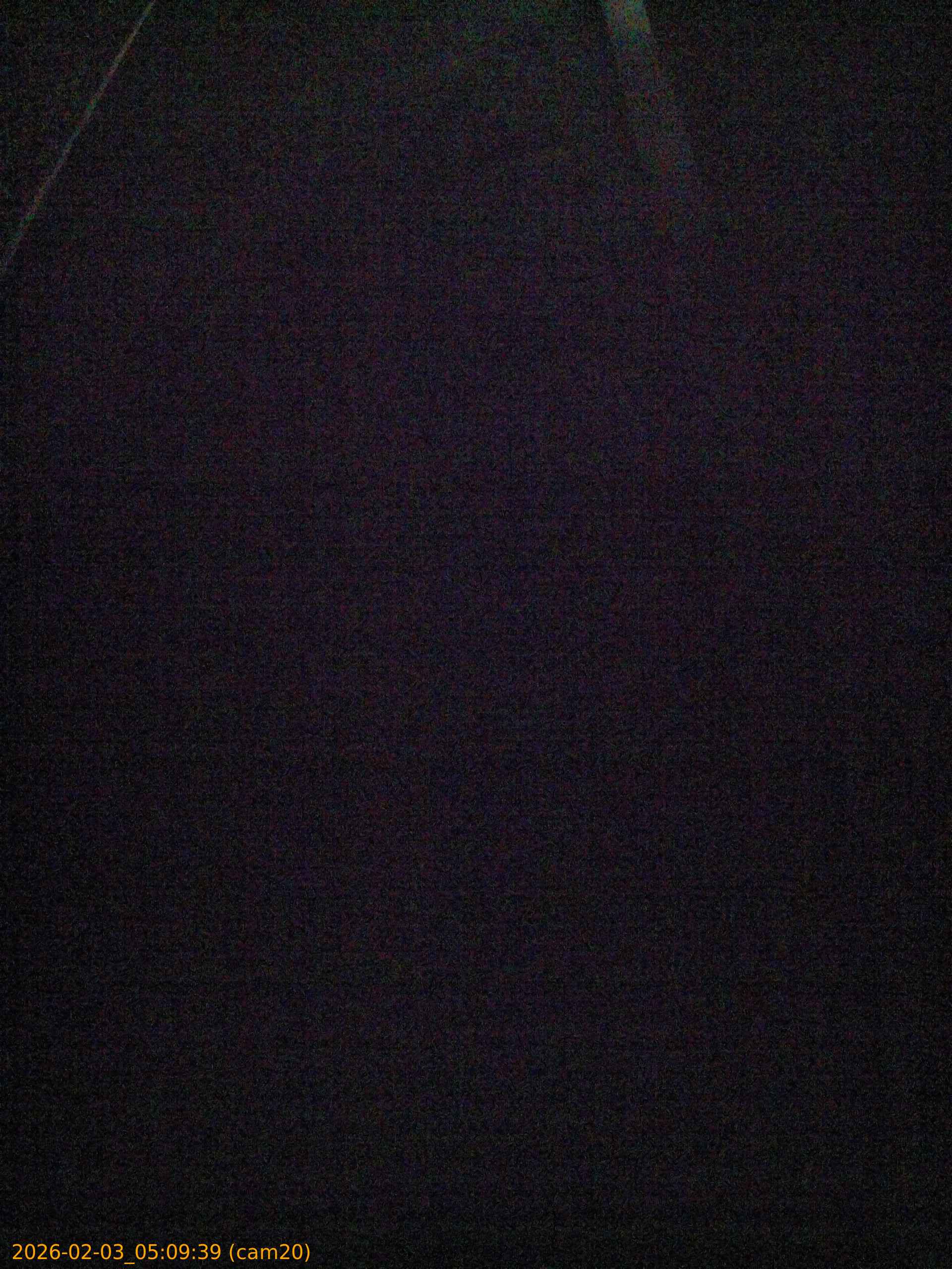 thumbnail_20260203050939