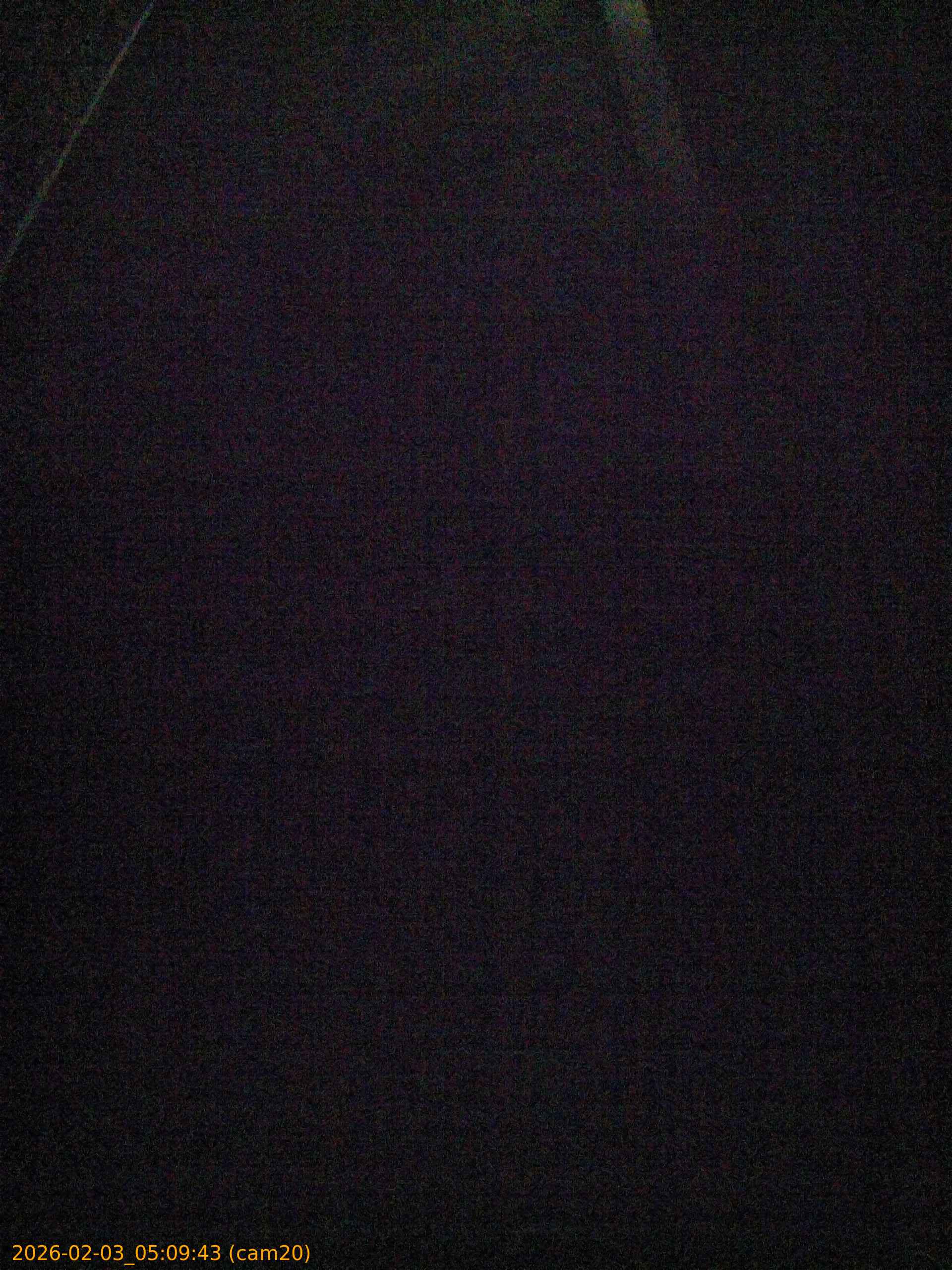 thumbnail_20260203050943