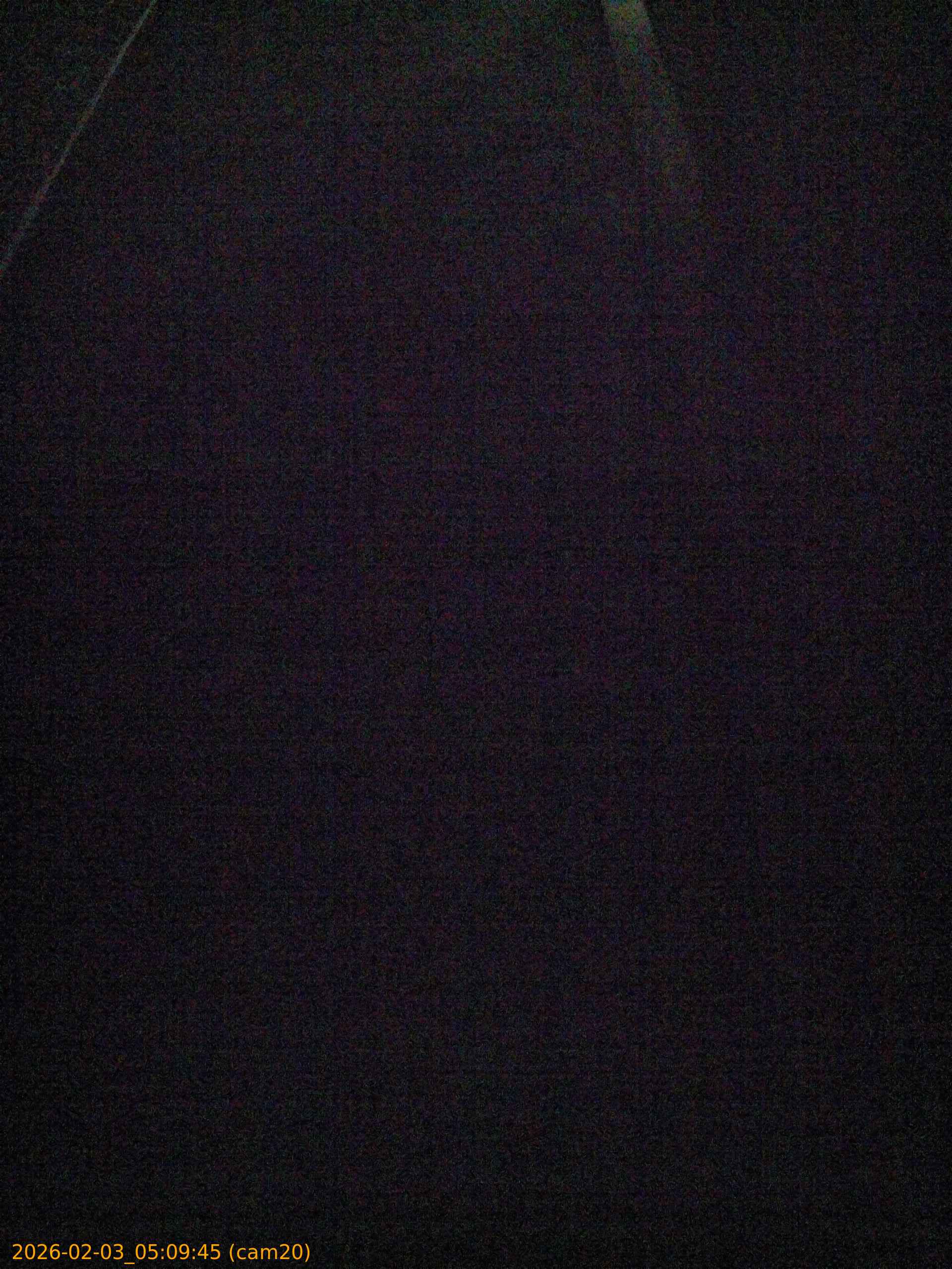 thumbnail_20260203050945