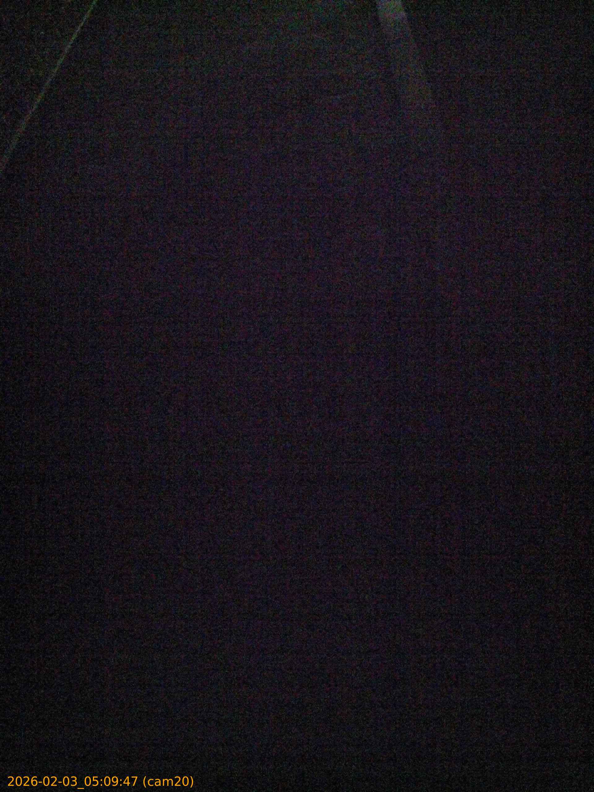 thumbnail_20260203050947