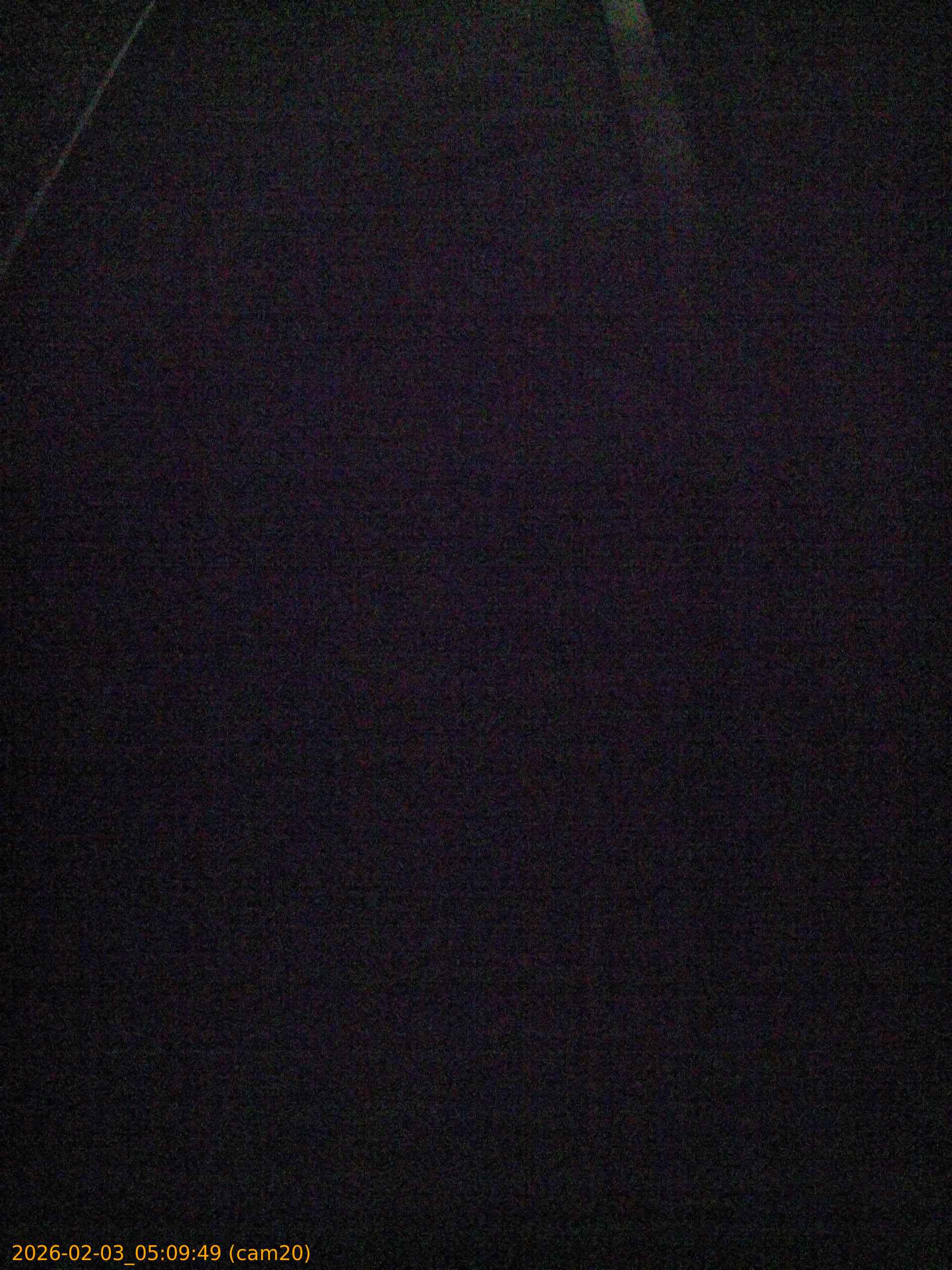 thumbnail_20260203050949