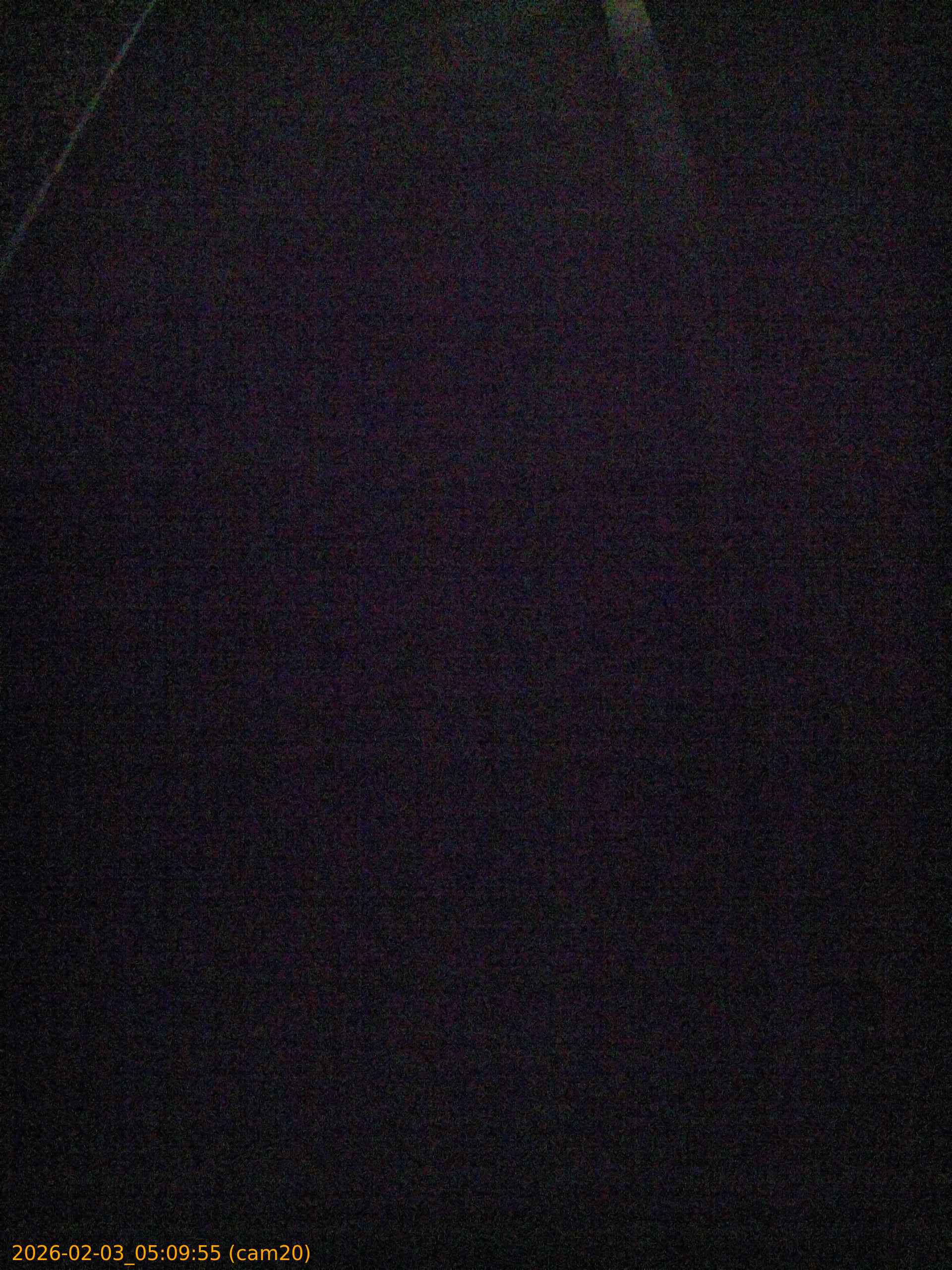 thumbnail_20260203050955