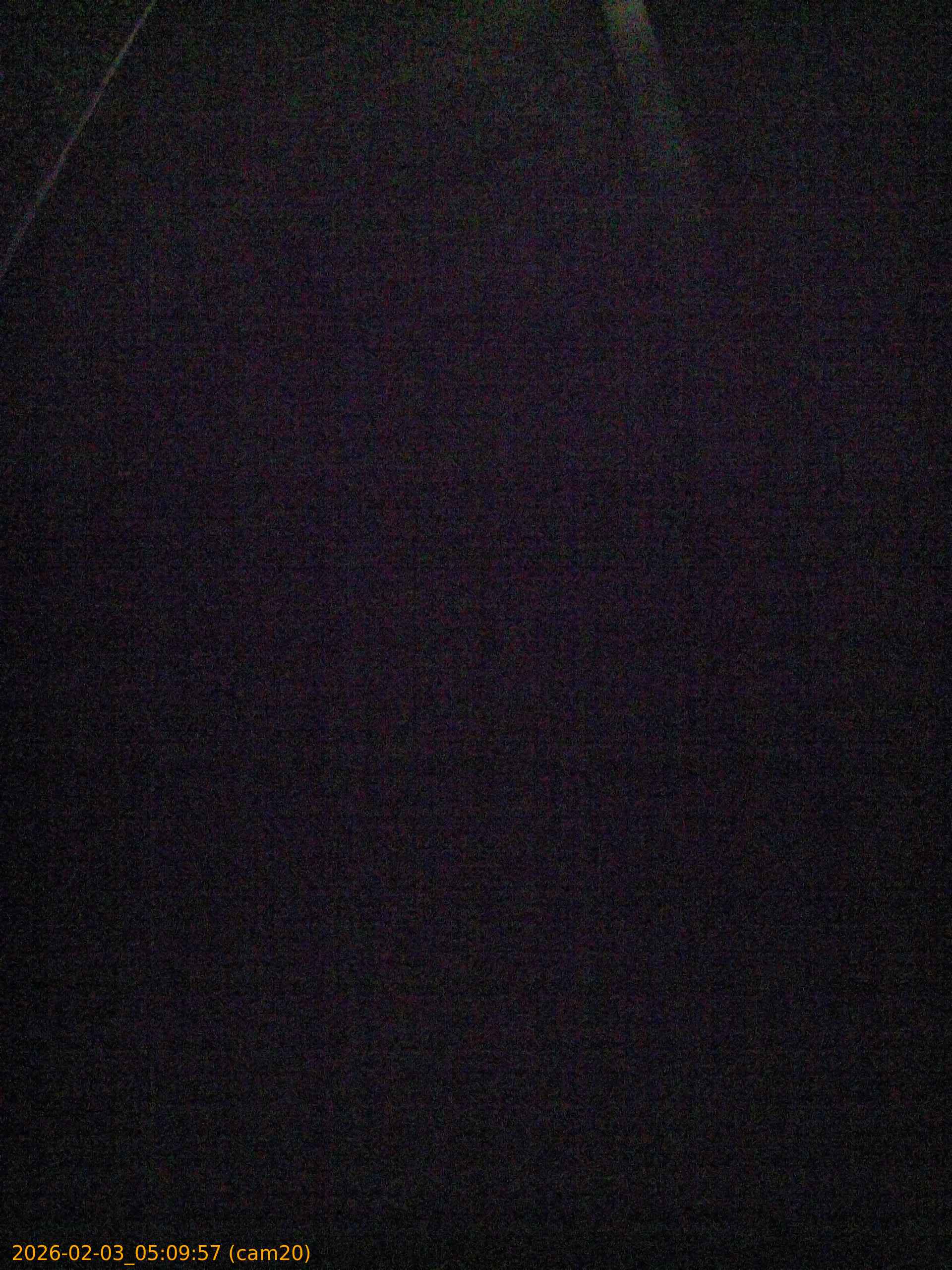 thumbnail_20260203050957