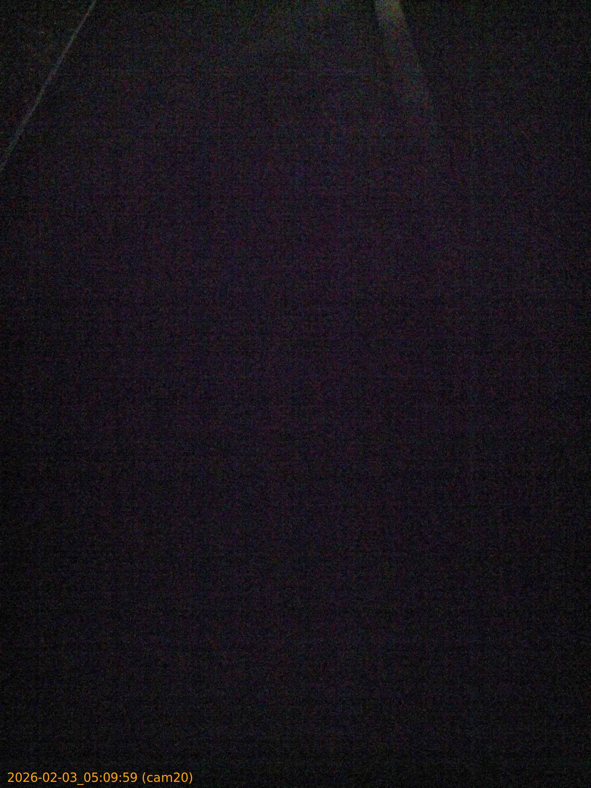 thumbnail_20260203050959