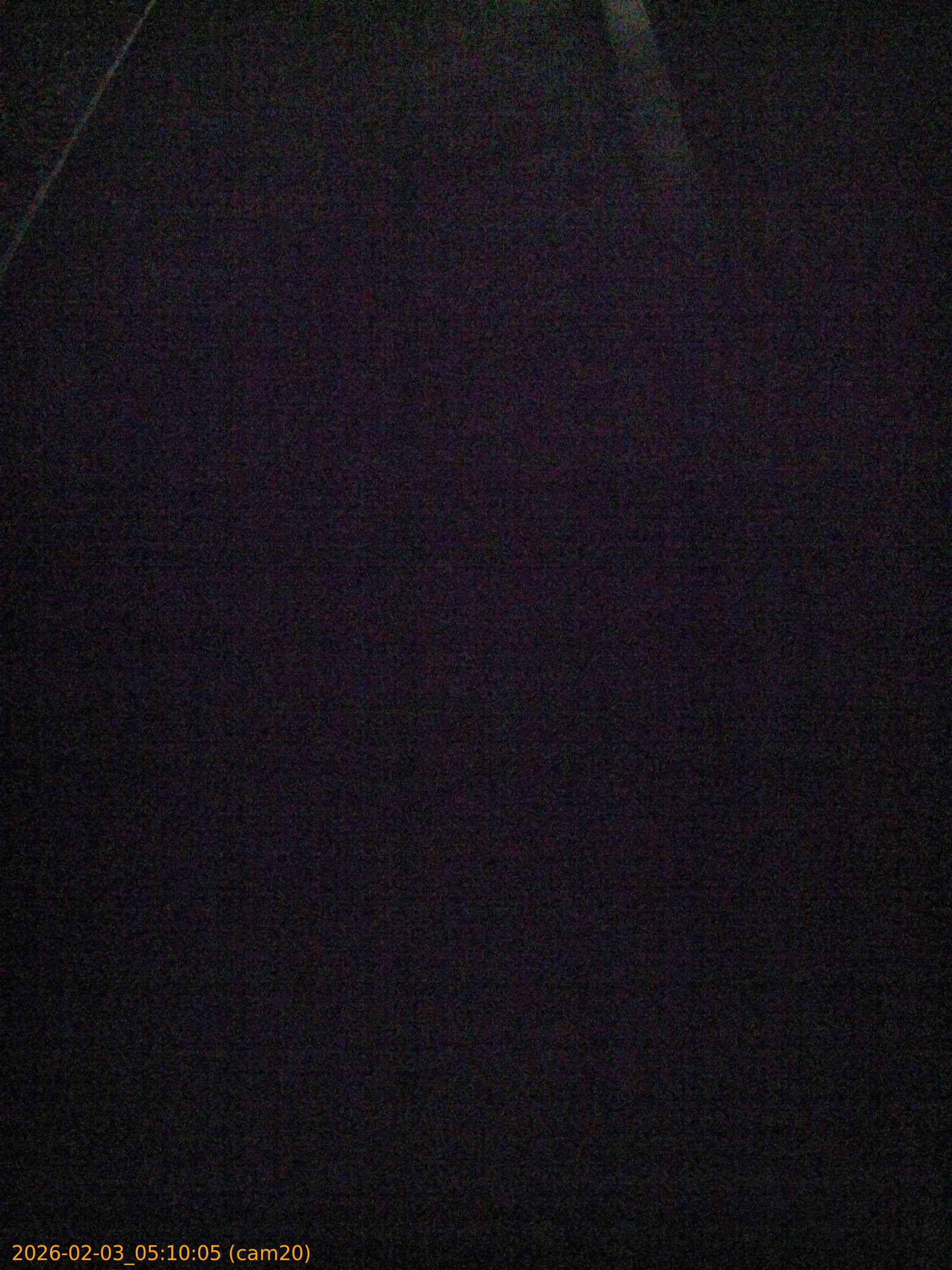 thumbnail_20260203051005