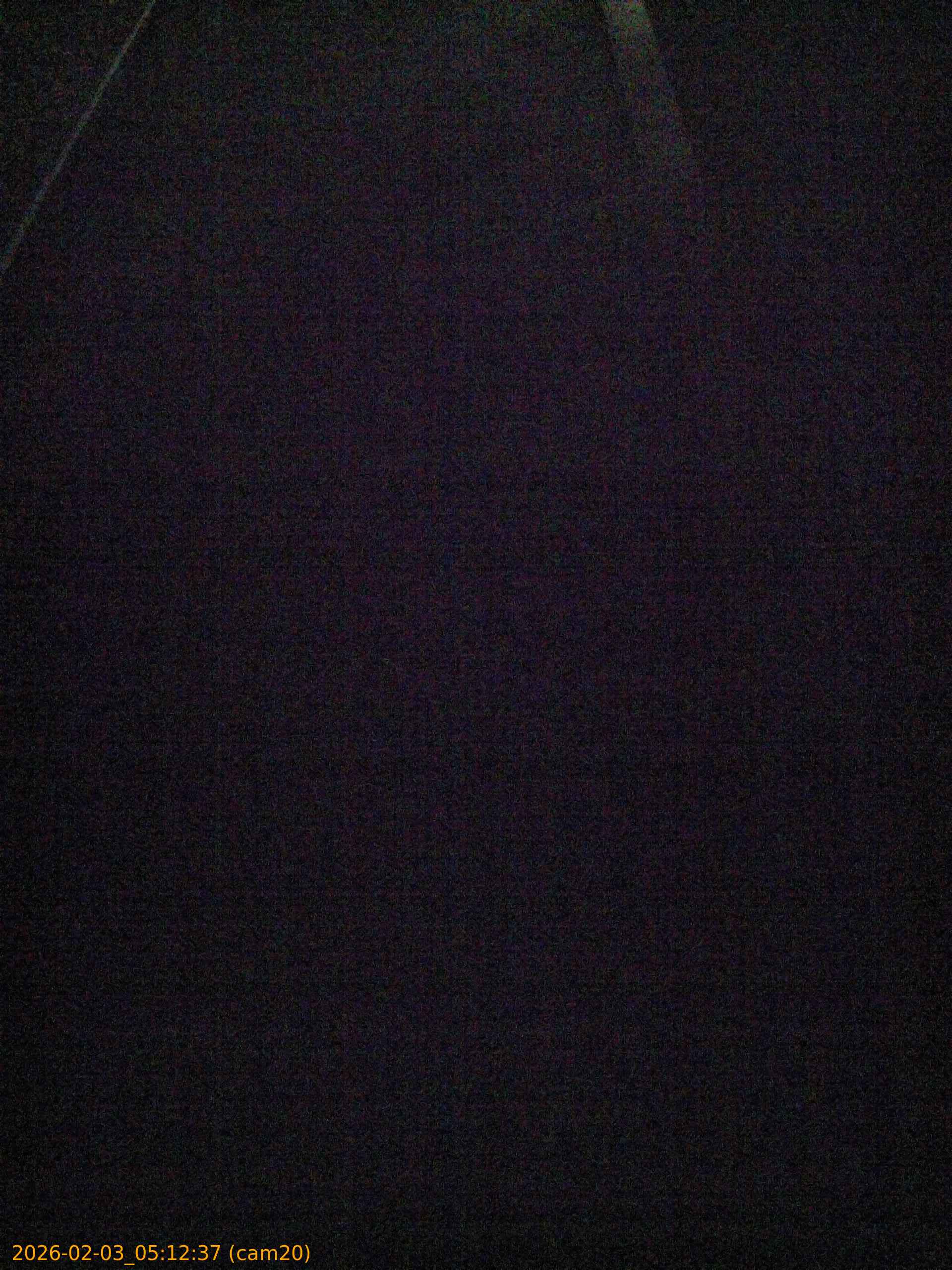 thumbnail_20260203051237