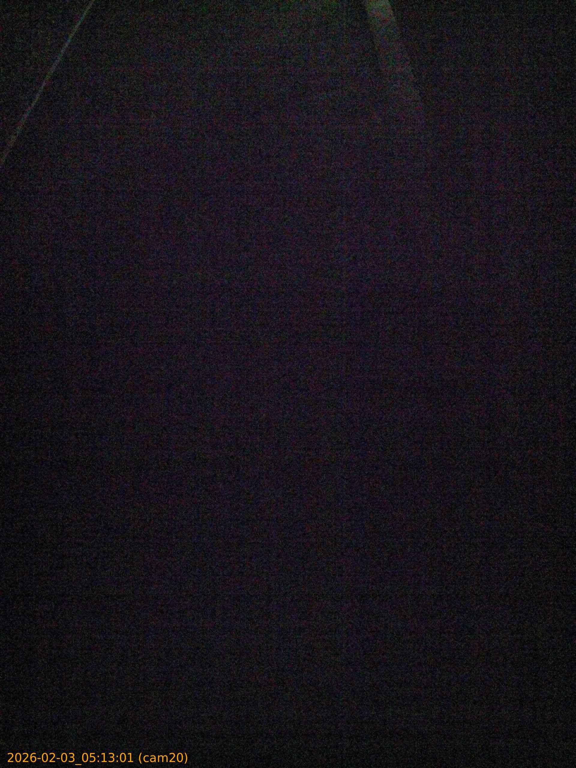 thumbnail_20260203051301