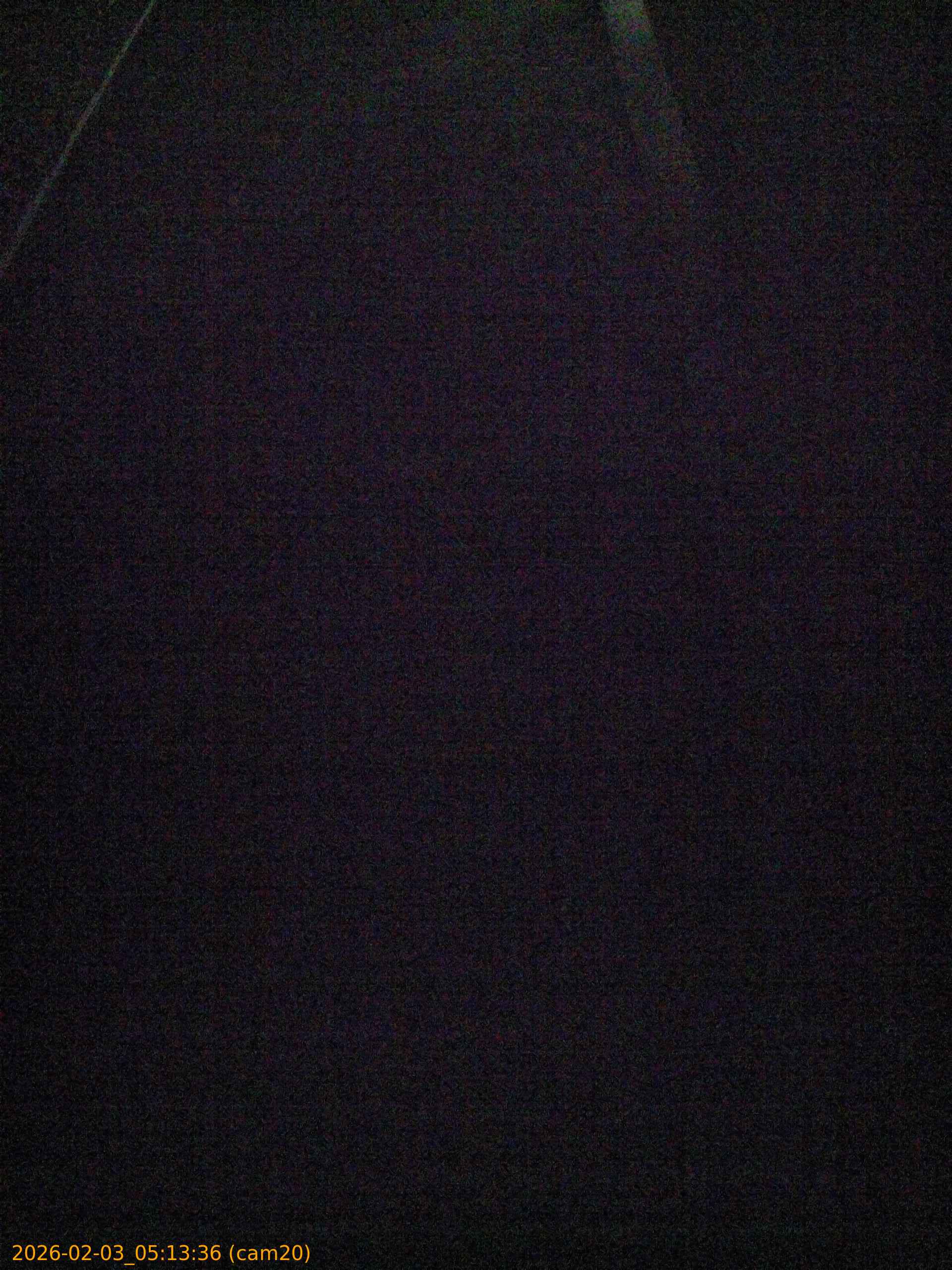 thumbnail_20260203051336