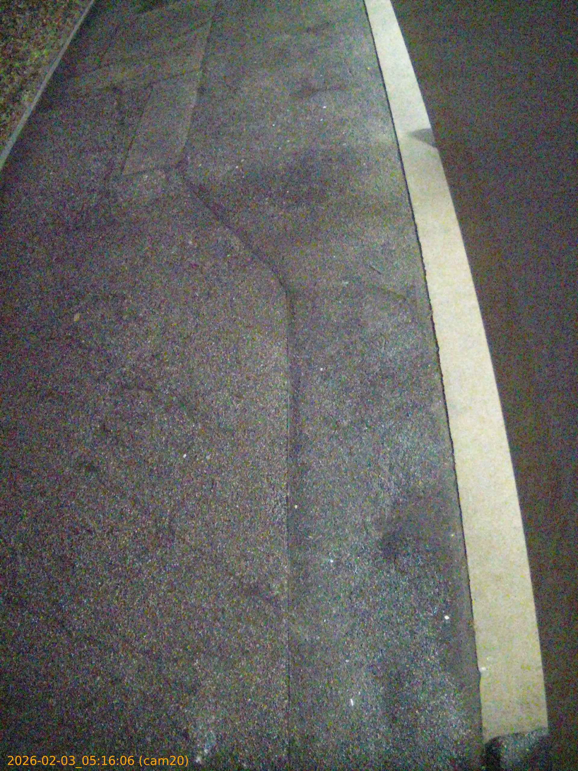 thumbnail_20260203051606