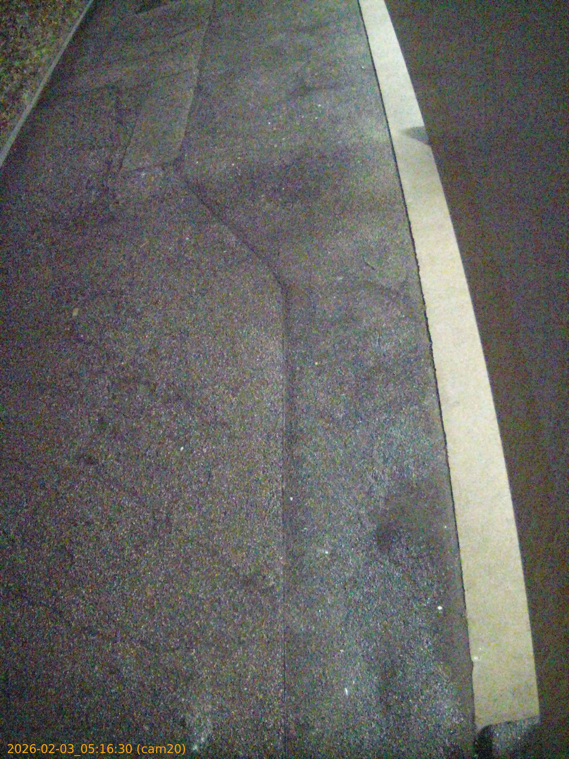 thumbnail_20260203051630