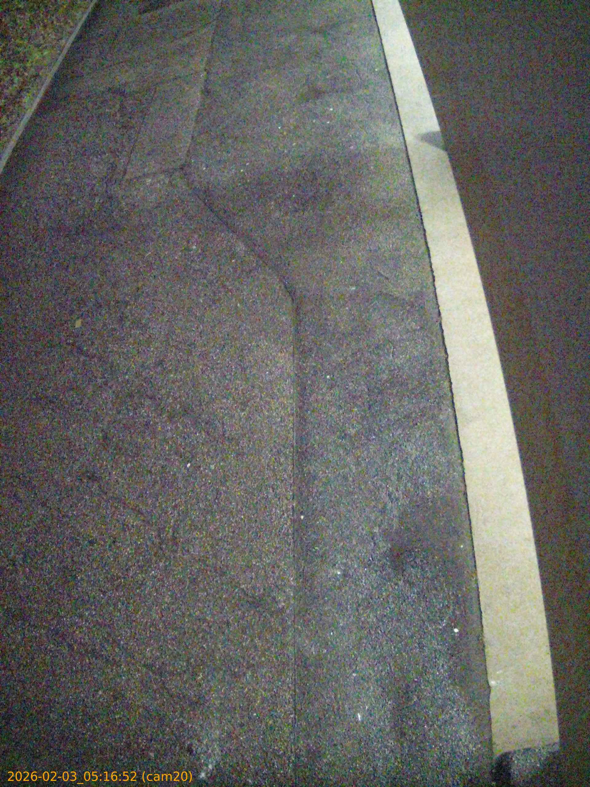 thumbnail_20260203051652