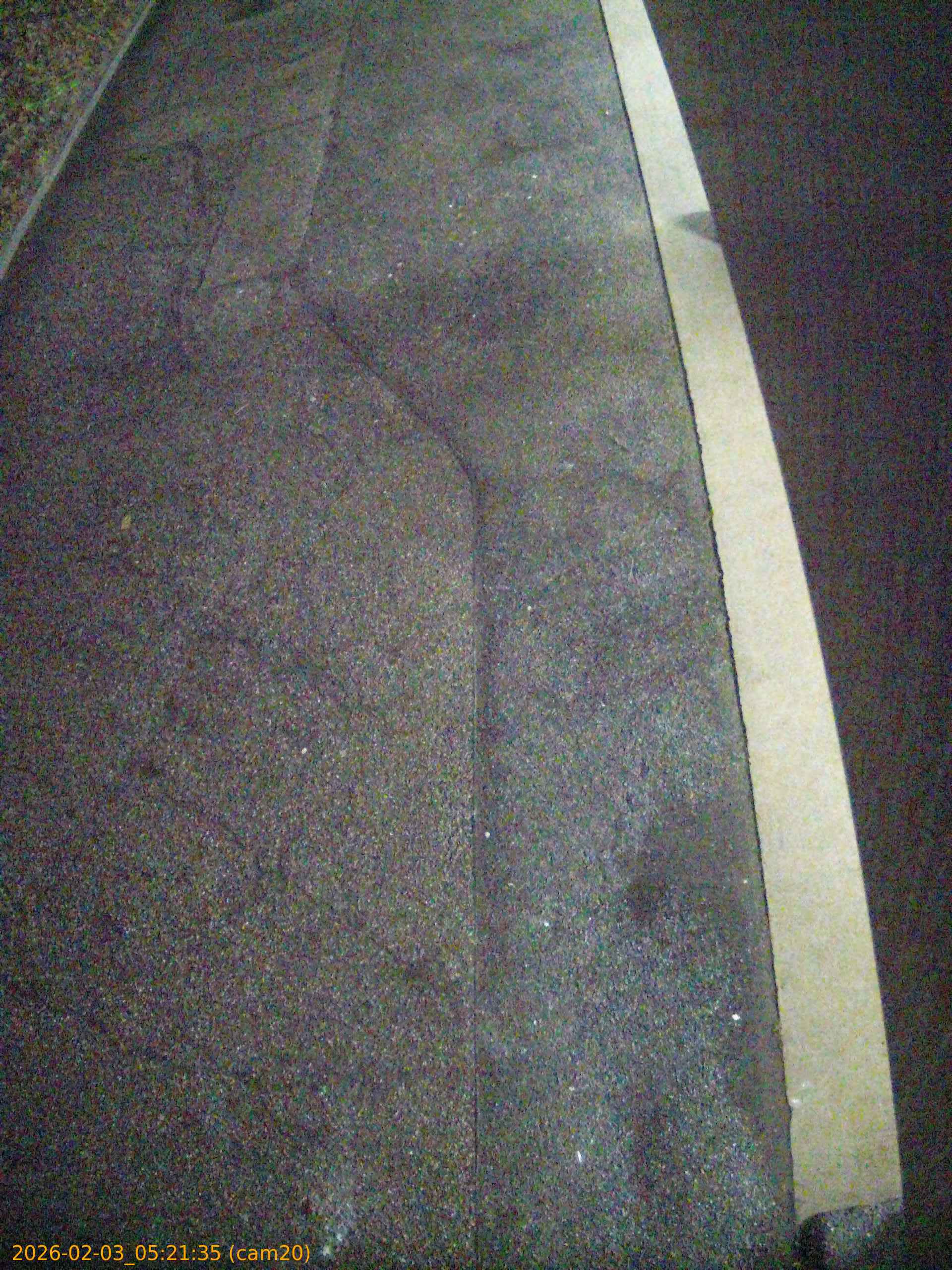 thumbnail_20260203052135