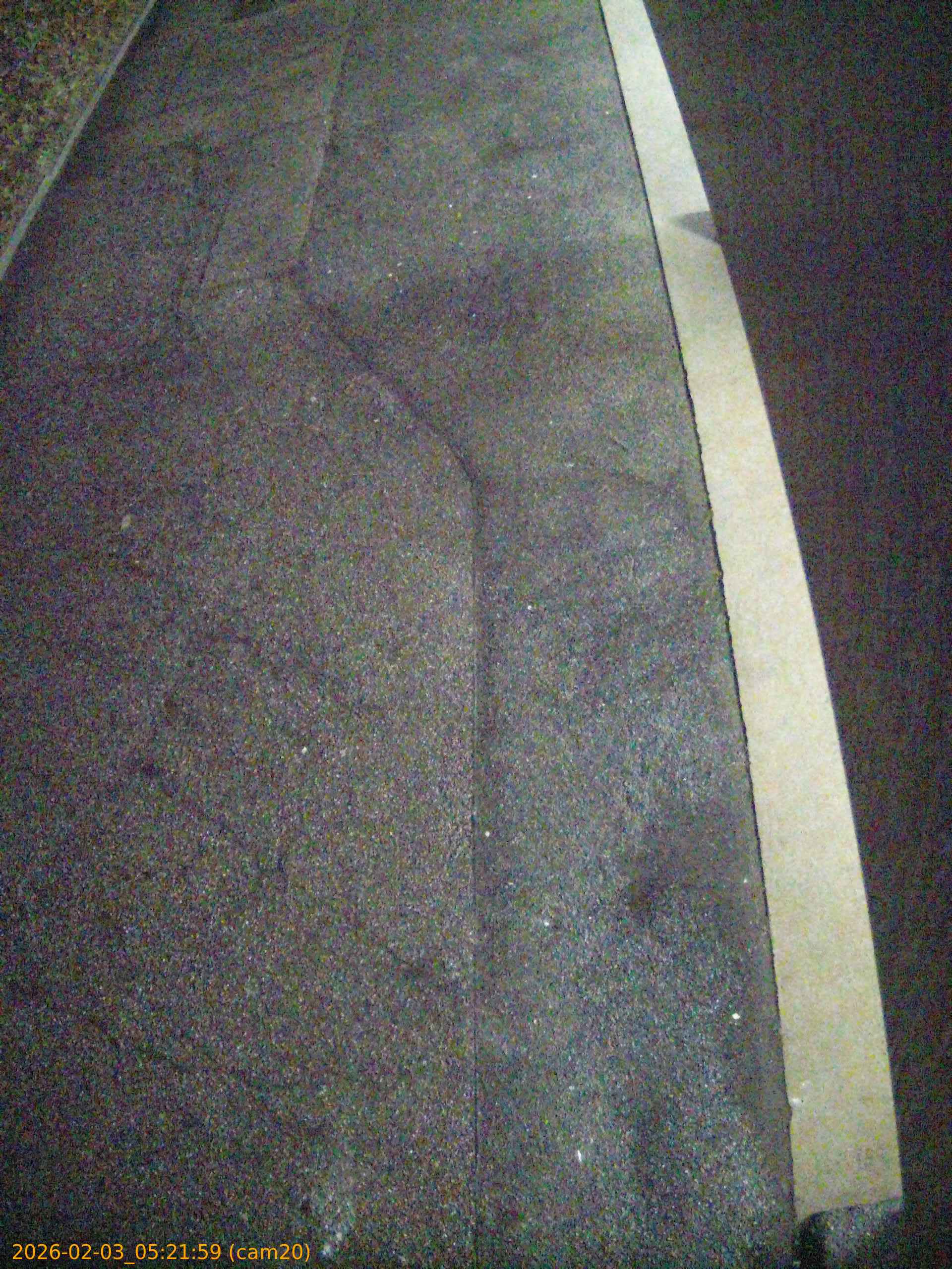 thumbnail_20260203052159