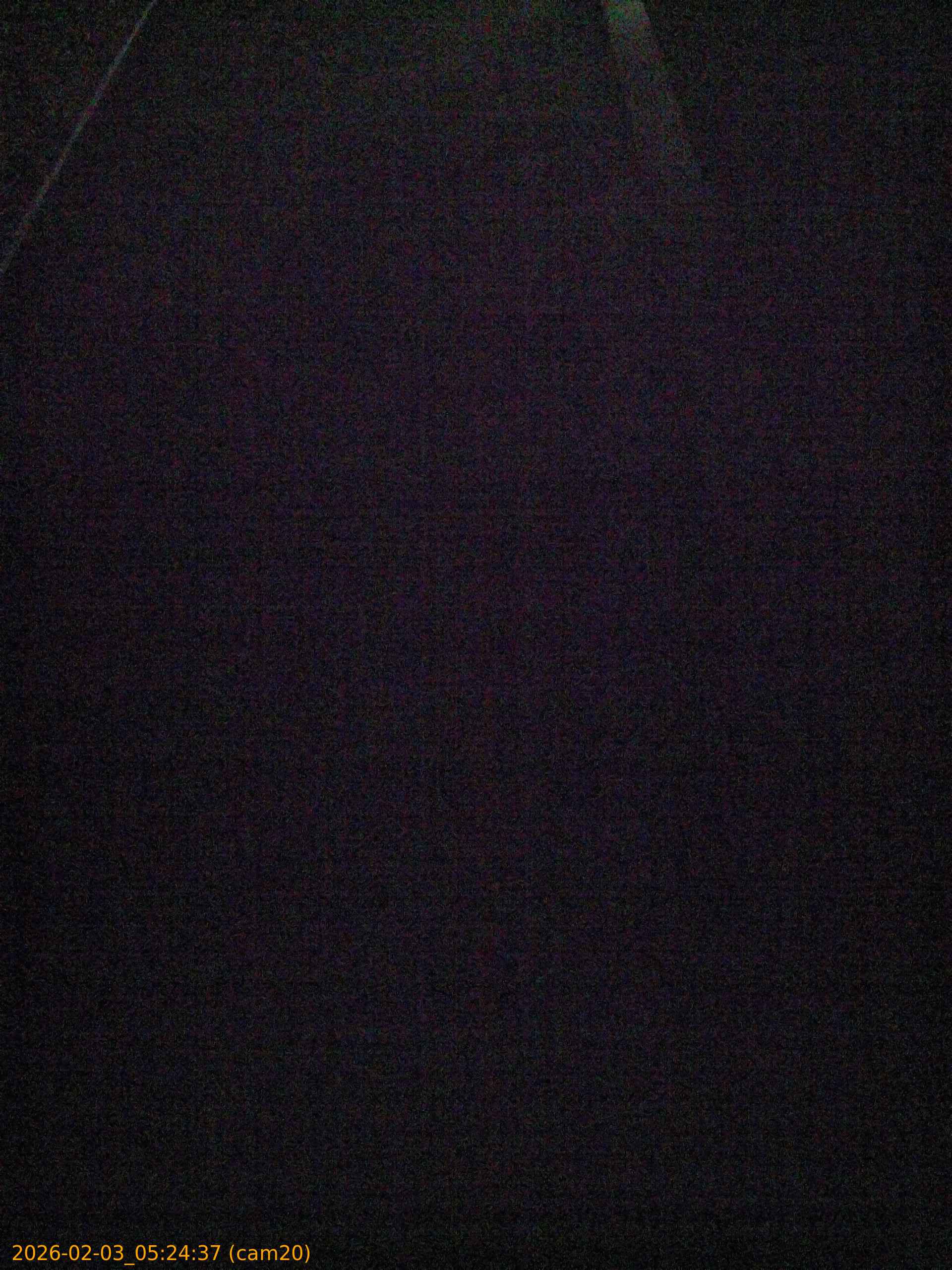 thumbnail_20260203052437