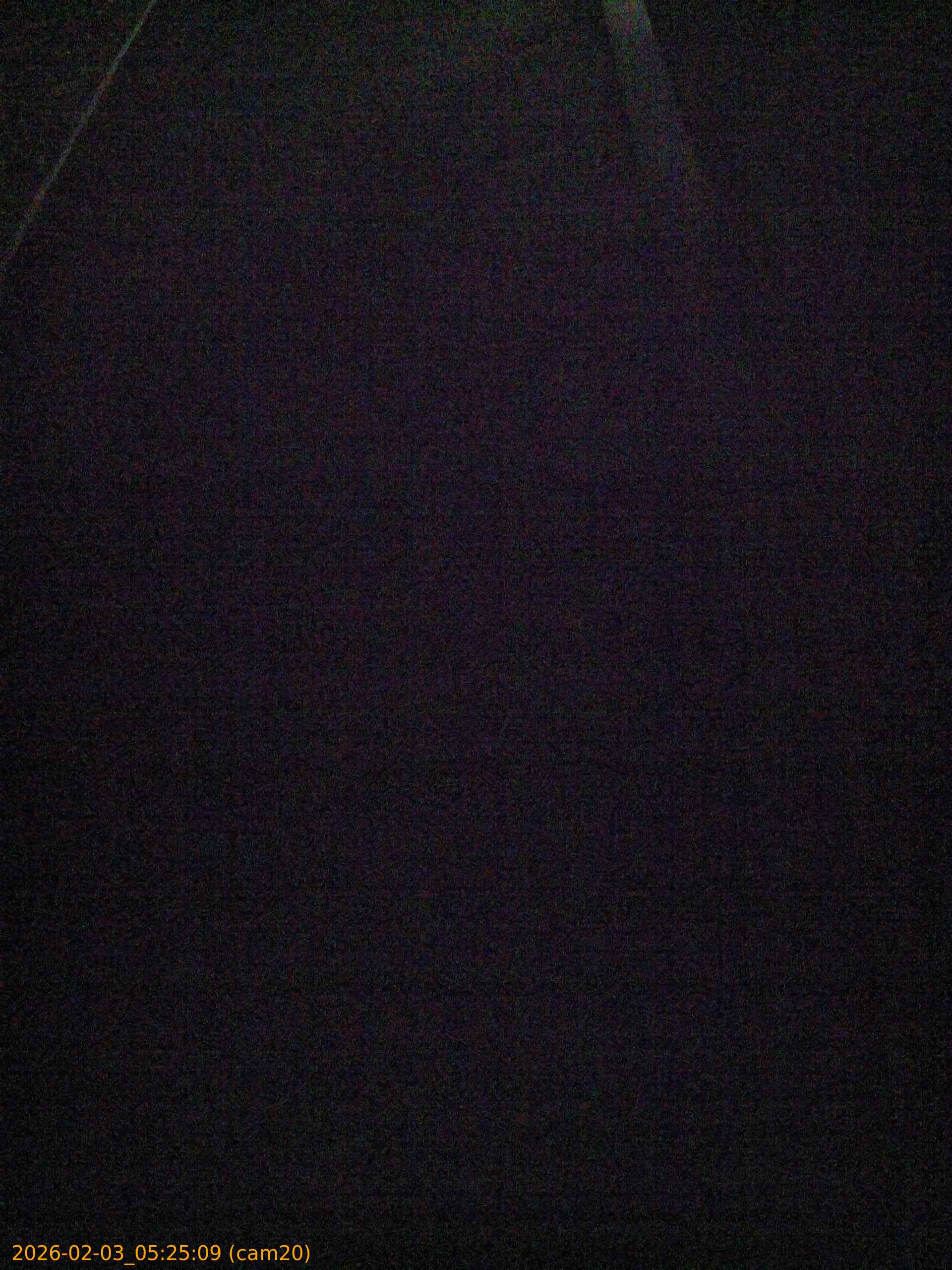 thumbnail_20260203052509