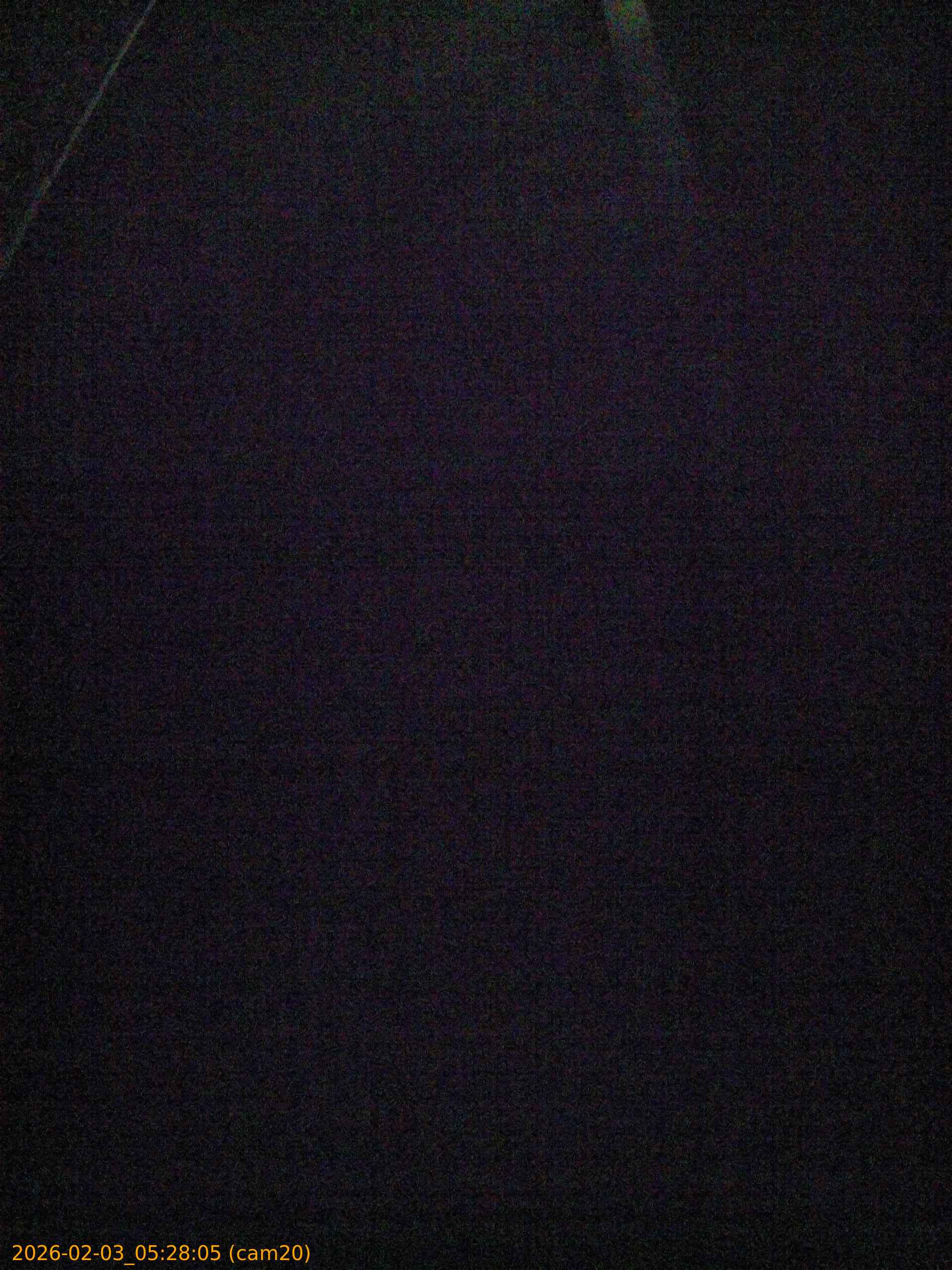 thumbnail_20260203052805