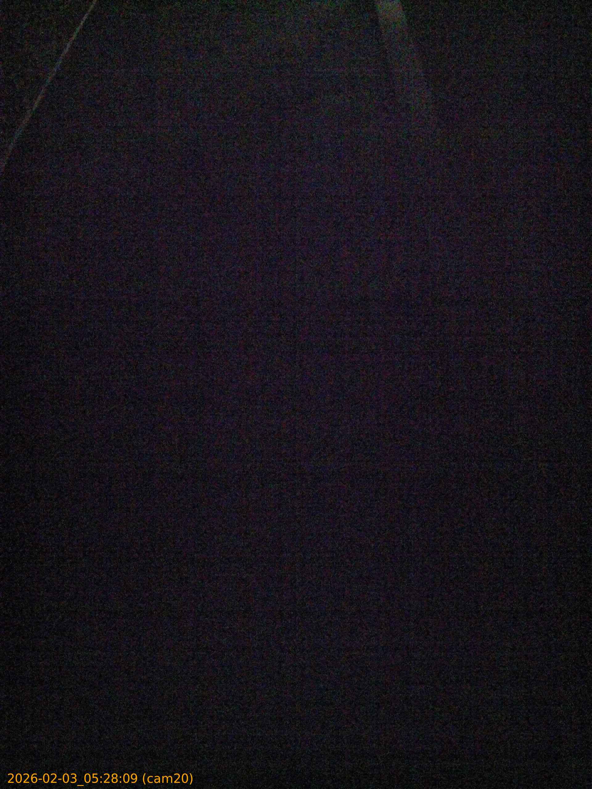 thumbnail_20260203052809