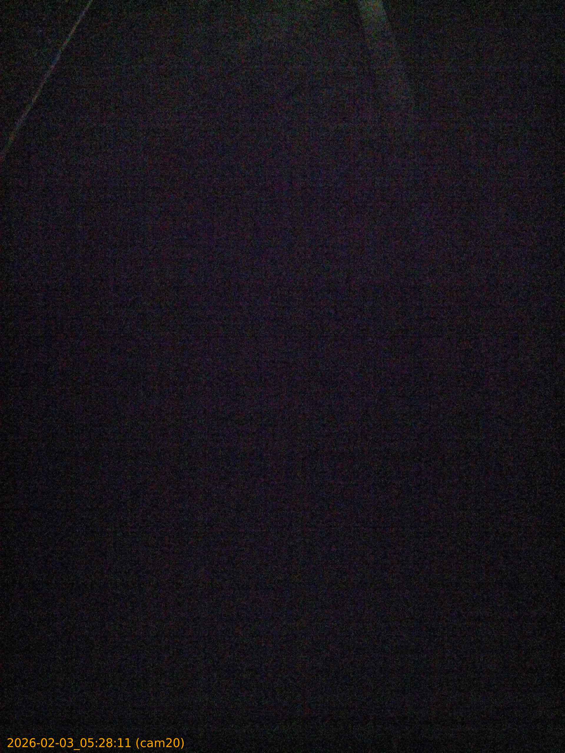 thumbnail_20260203052811