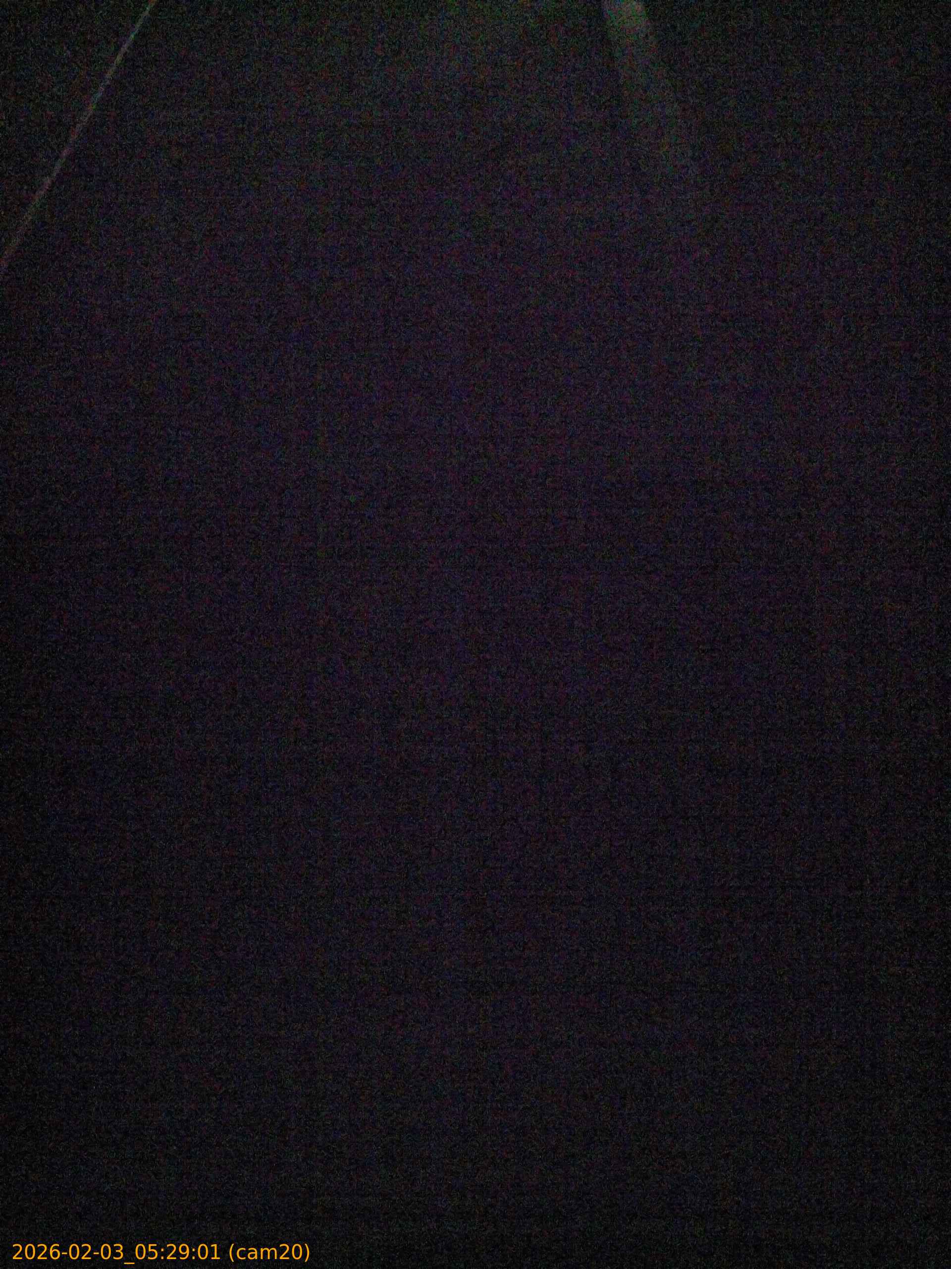 thumbnail_20260203052901