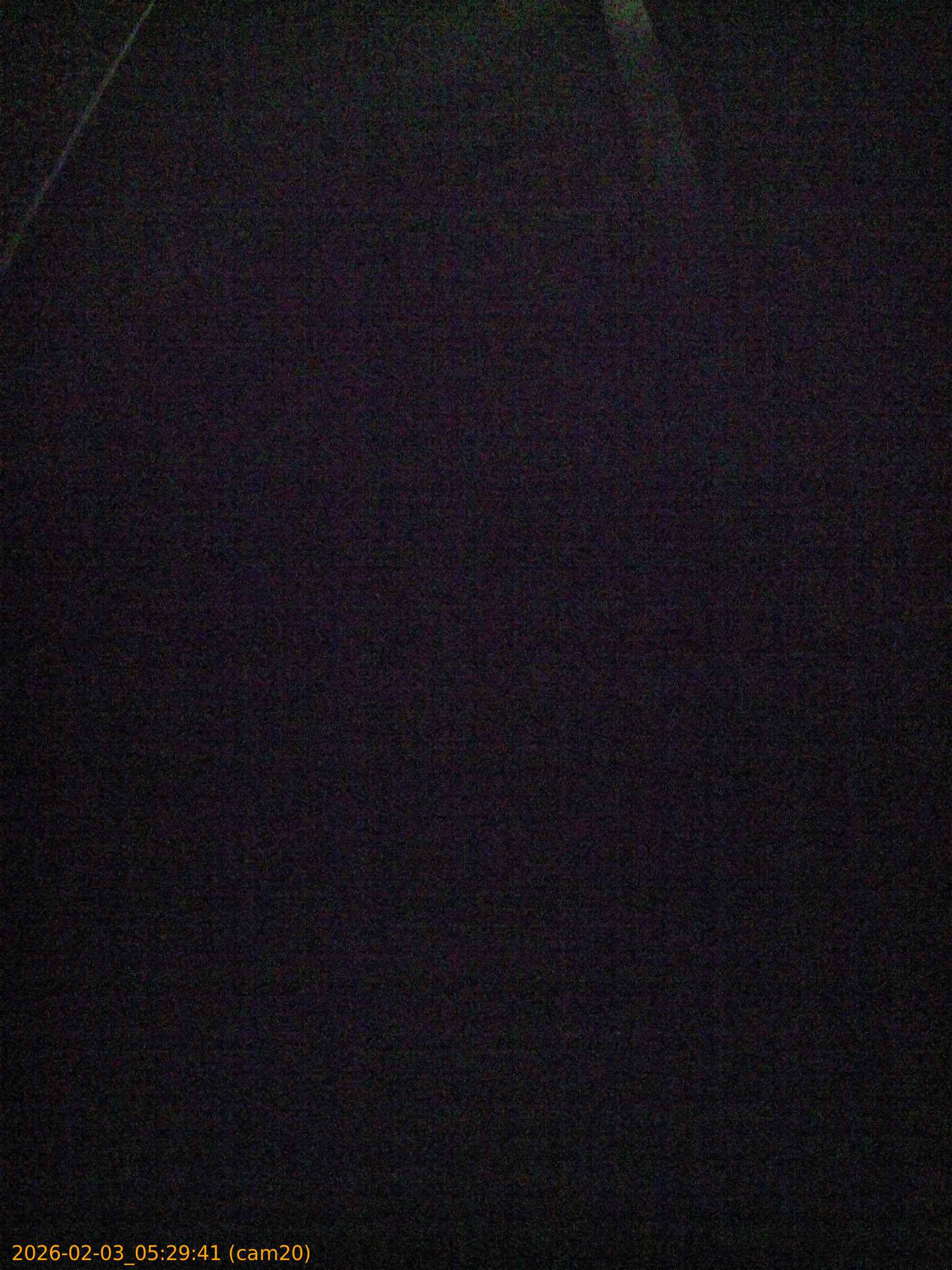 thumbnail_20260203052941