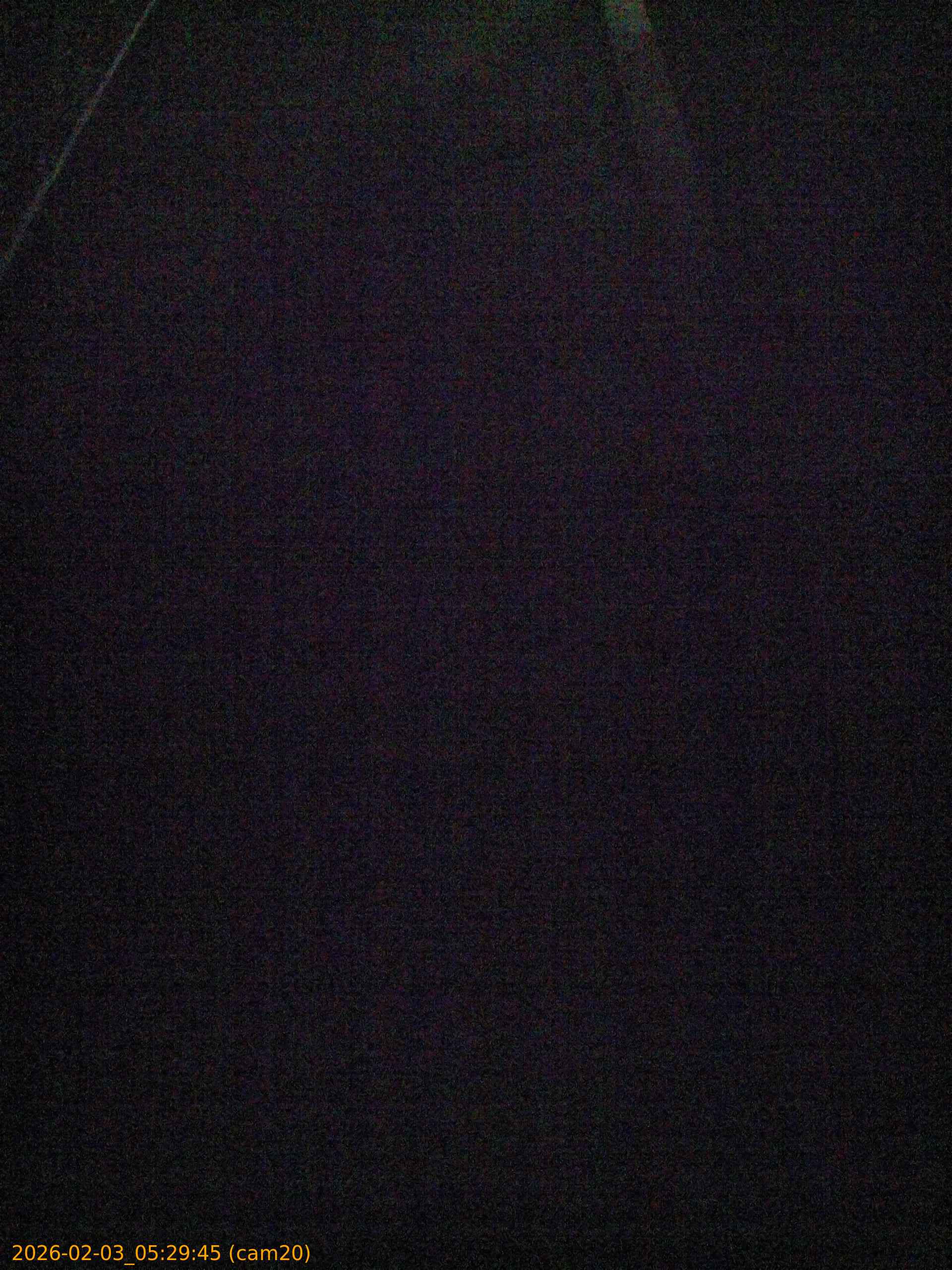 thumbnail_20260203052945