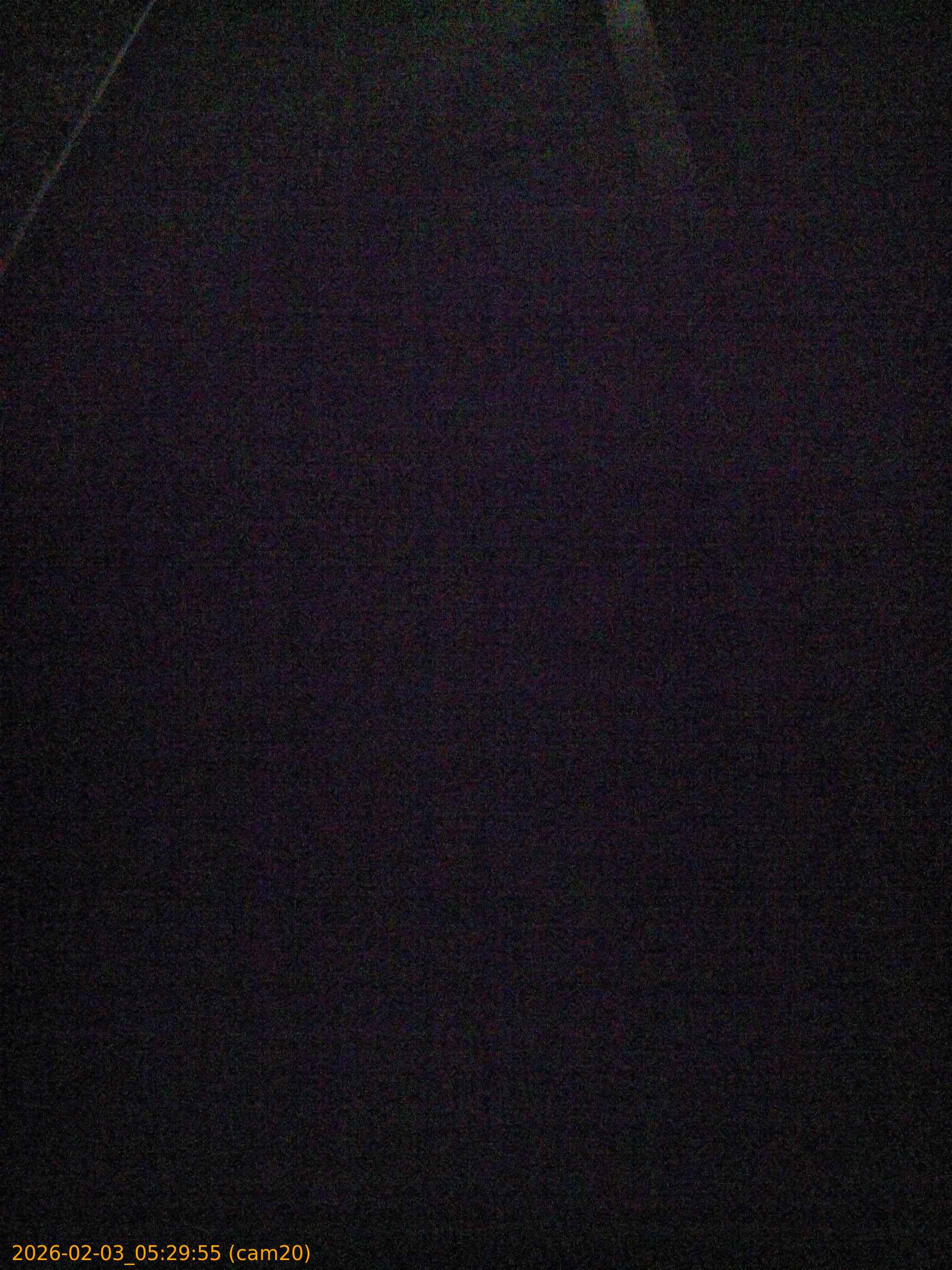 thumbnail_20260203052955