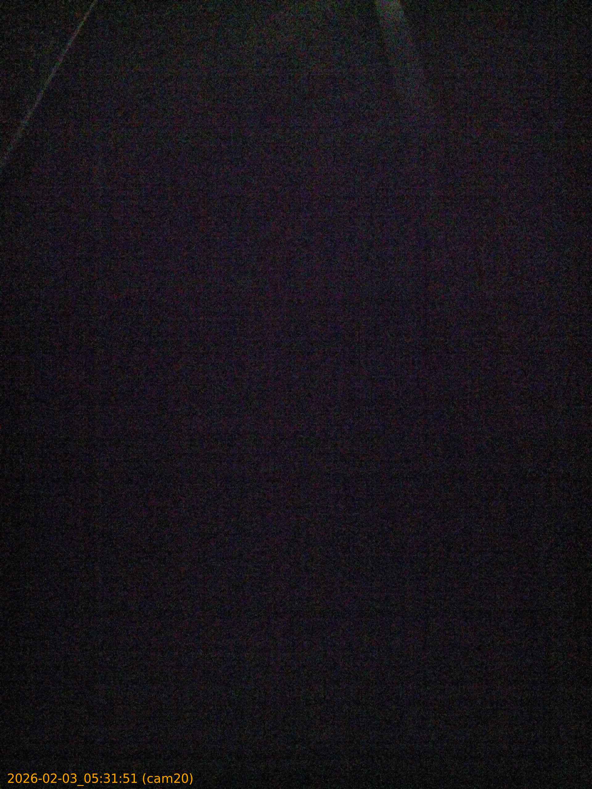 thumbnail_20260203053151