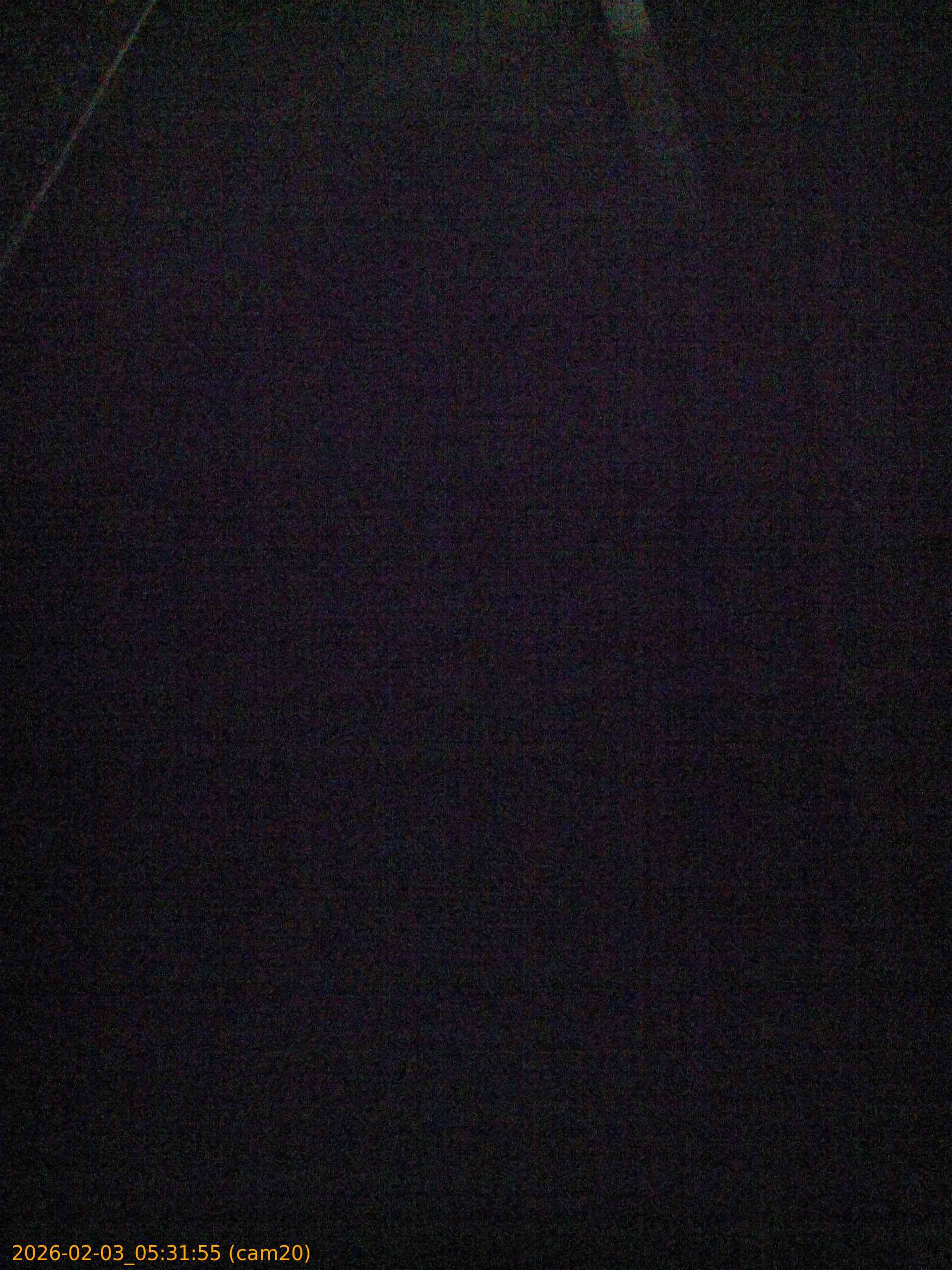 thumbnail_20260203053155