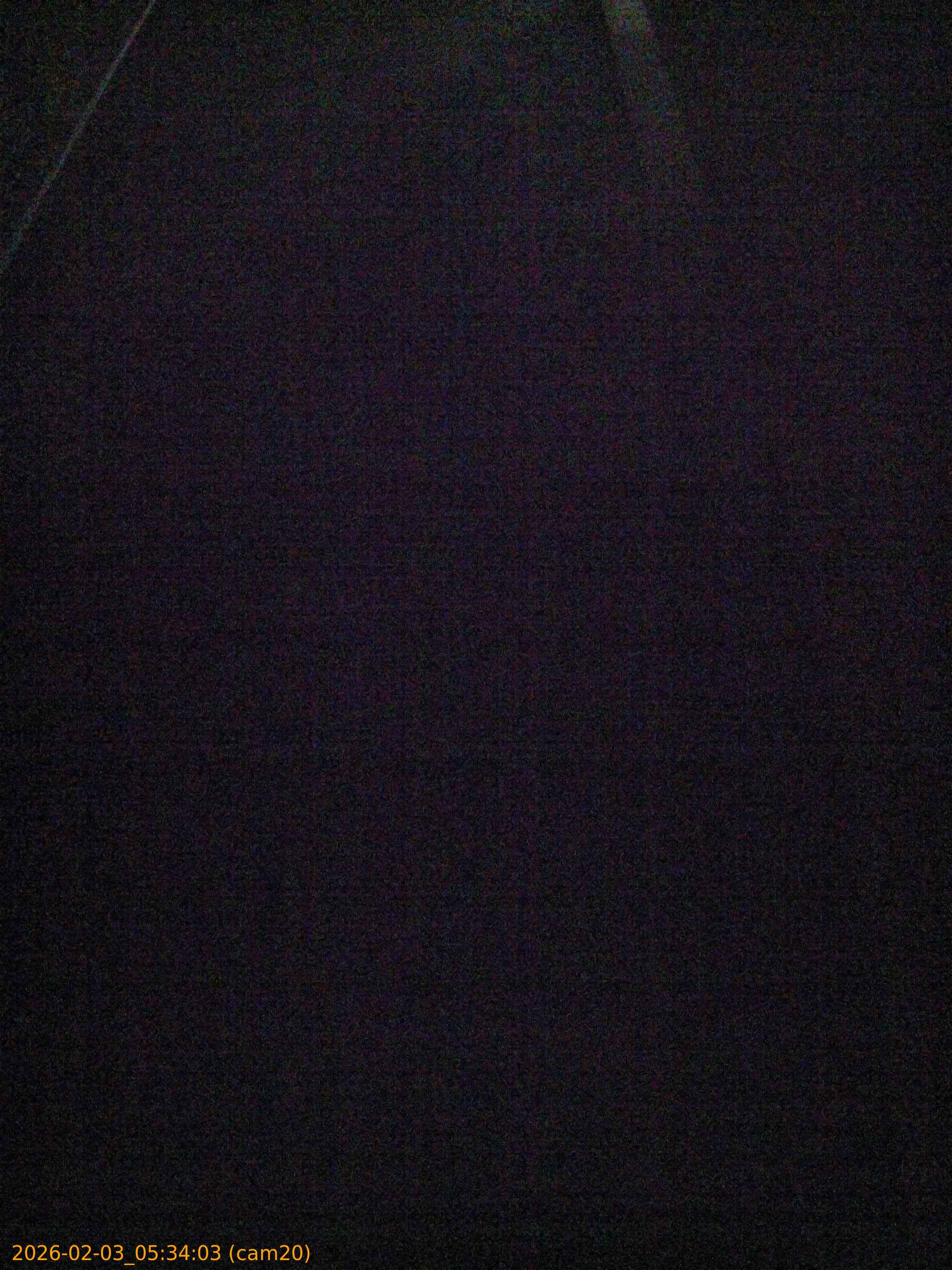 thumbnail_20260203053403