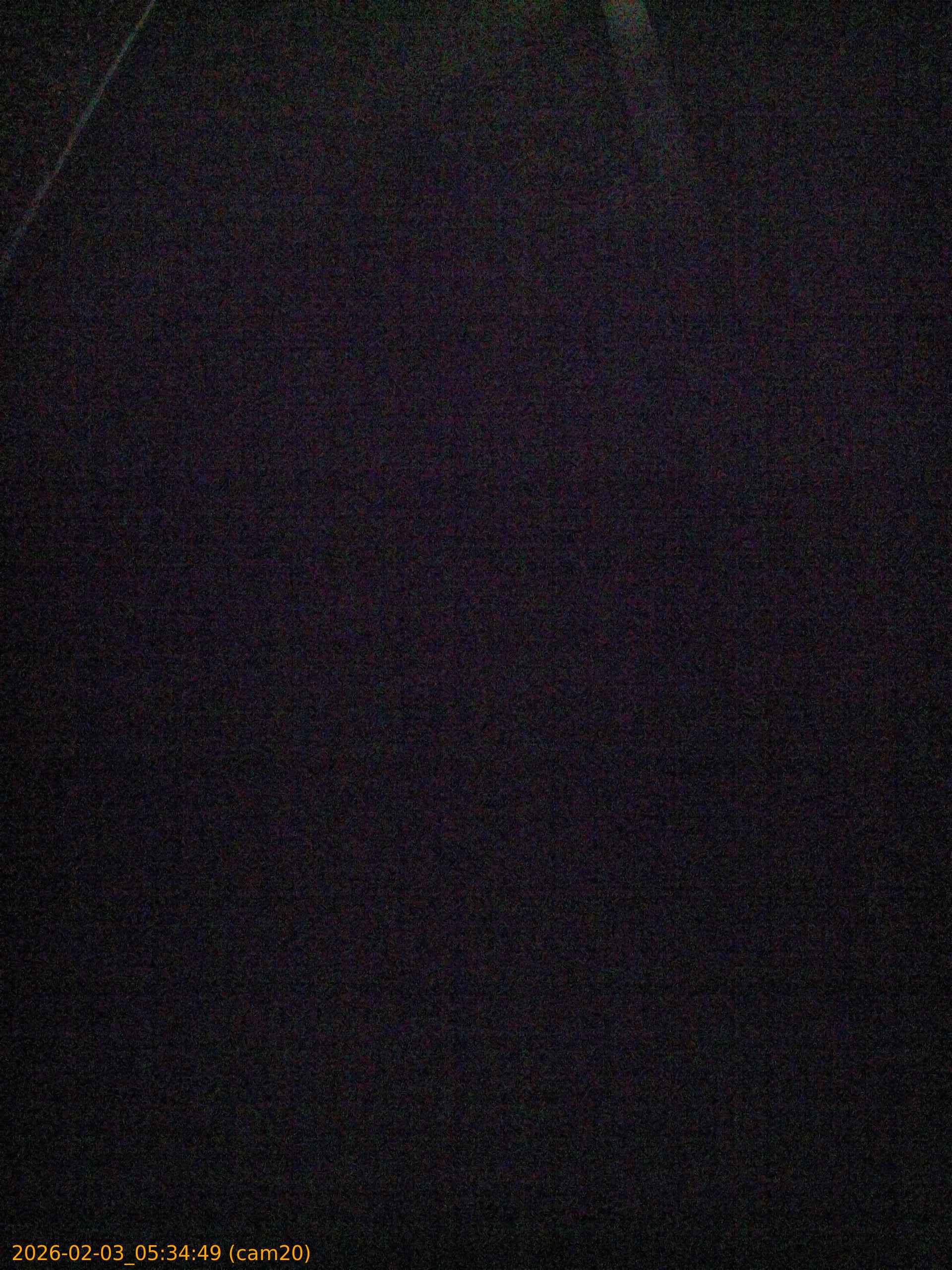 thumbnail_20260203053449