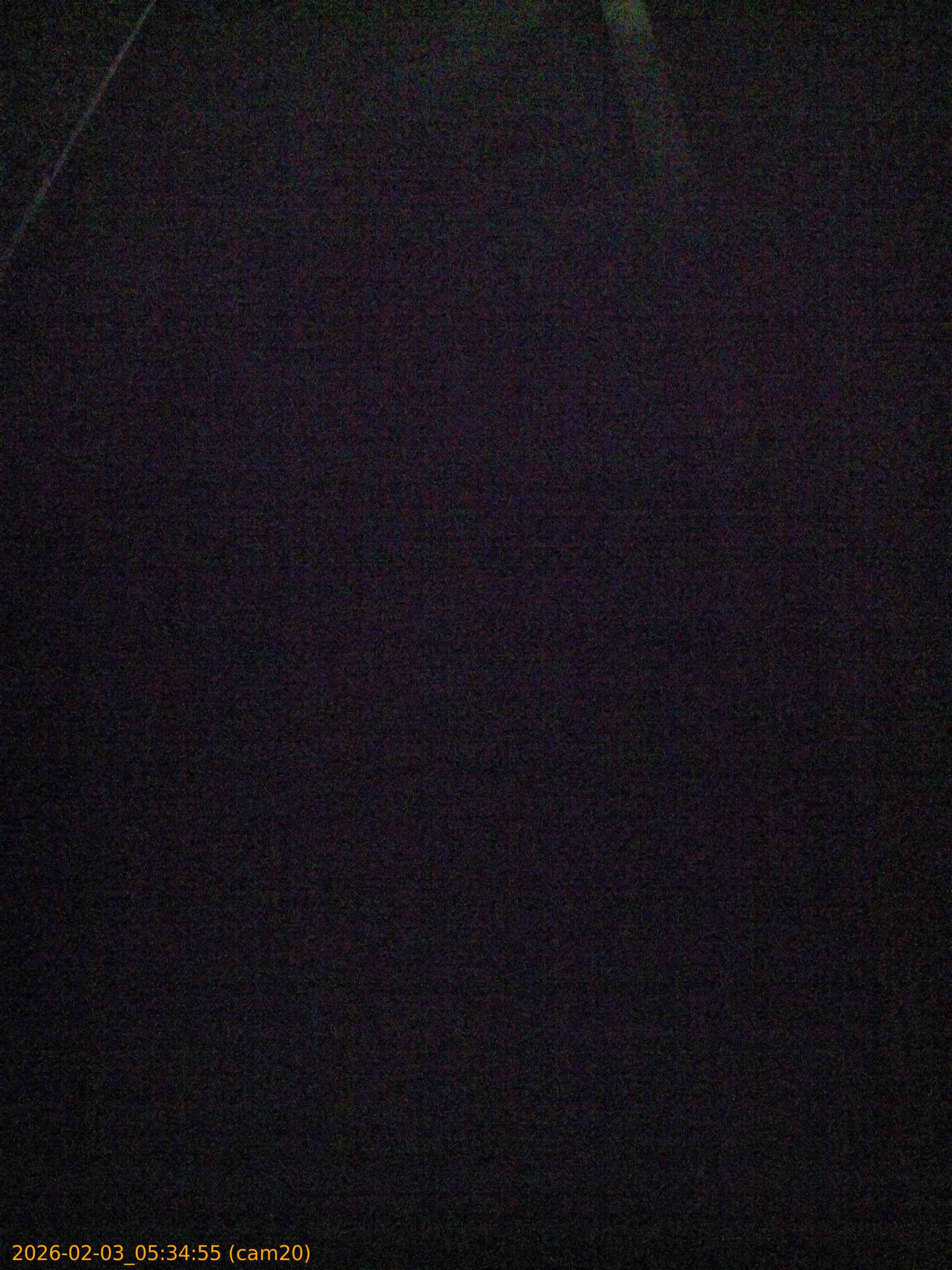 thumbnail_20260203053455