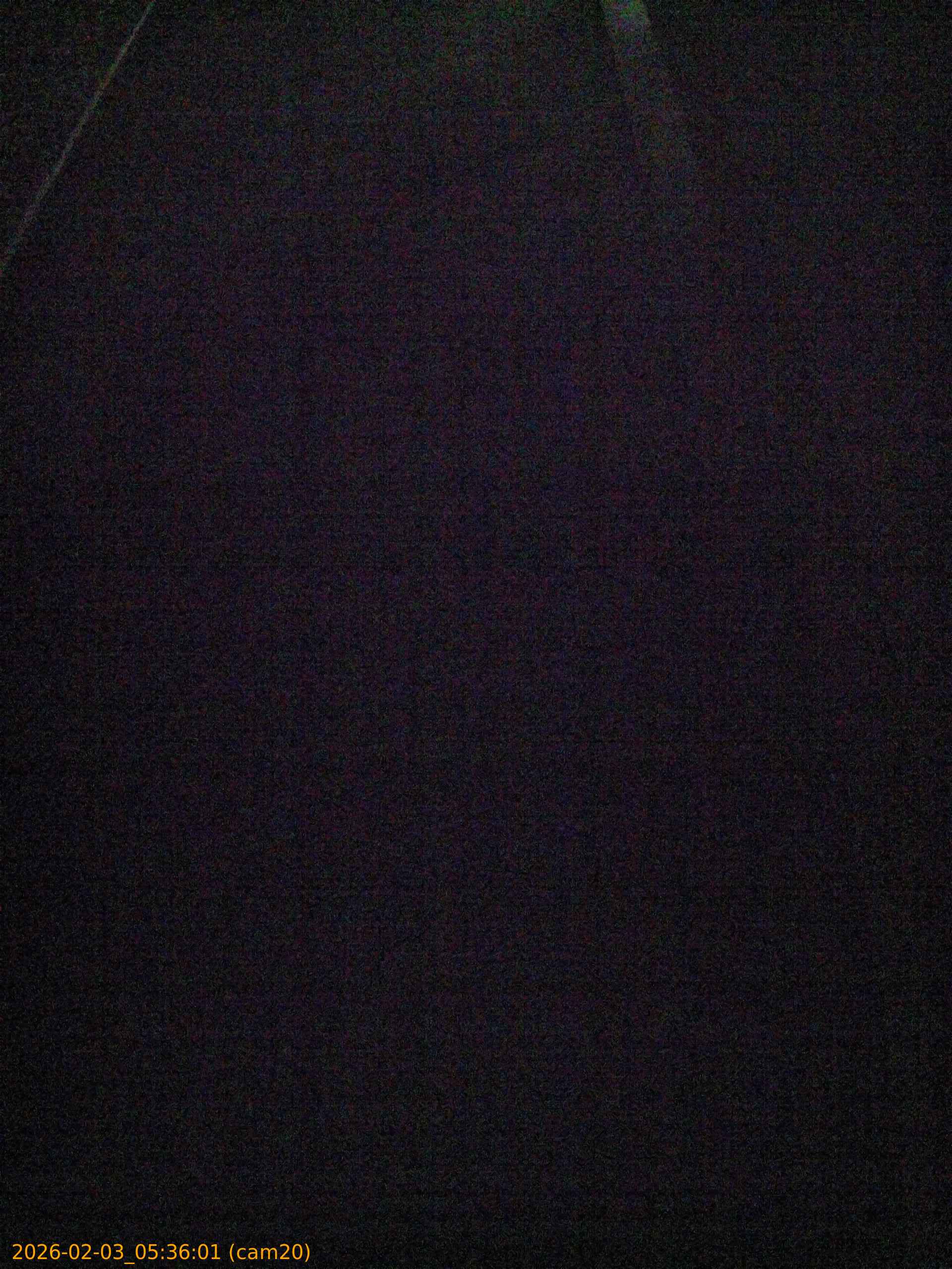 thumbnail_20260203053601