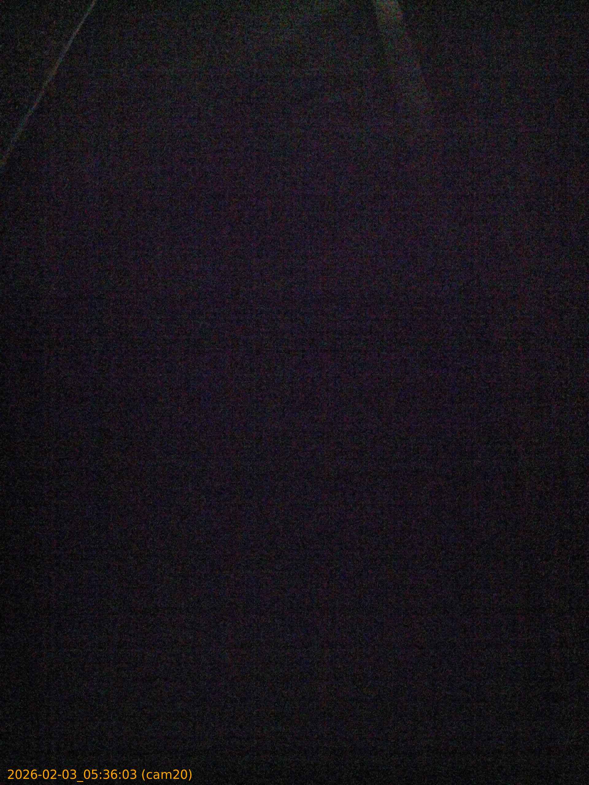 thumbnail_20260203053603