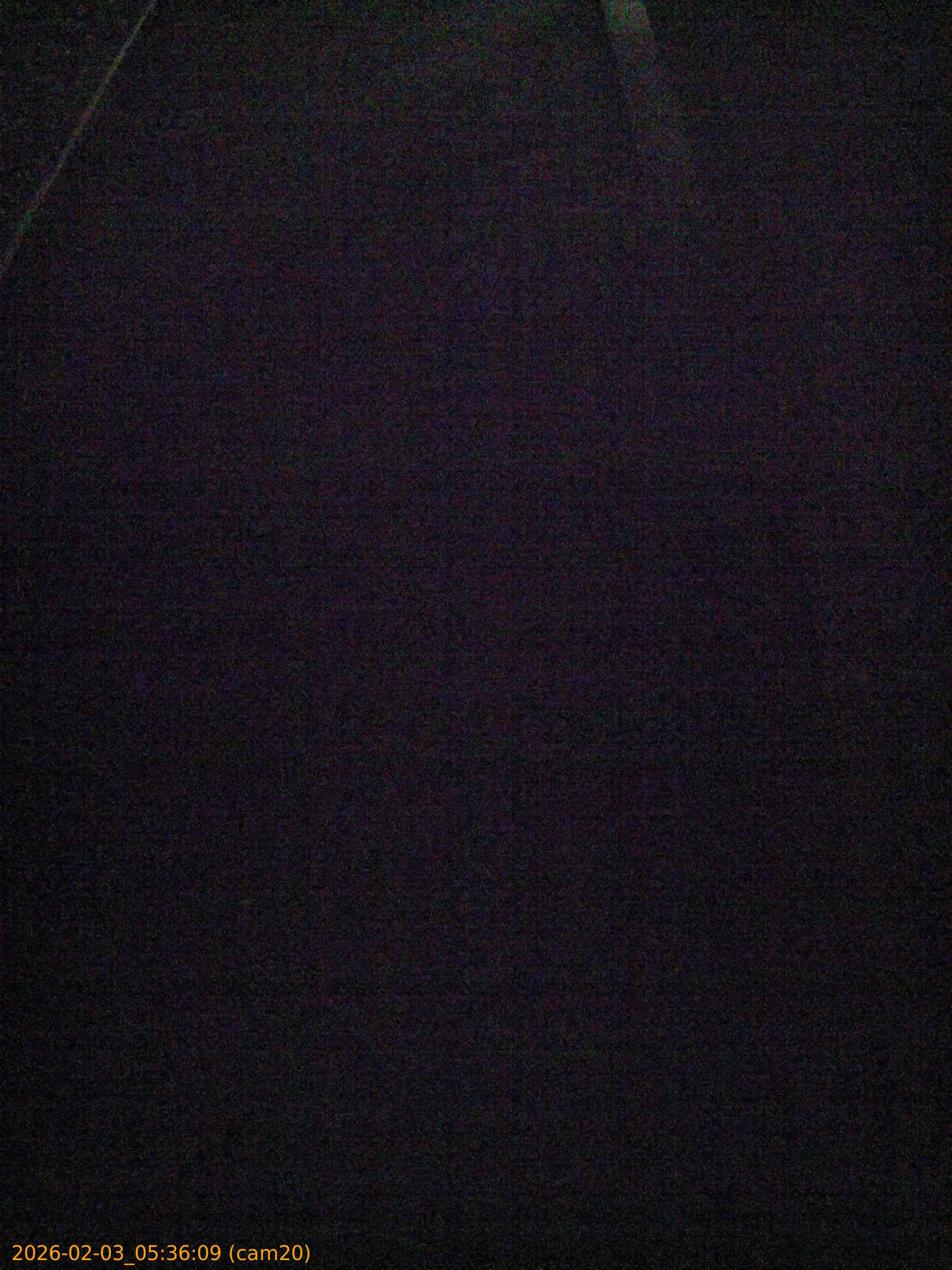 thumbnail_20260203053609